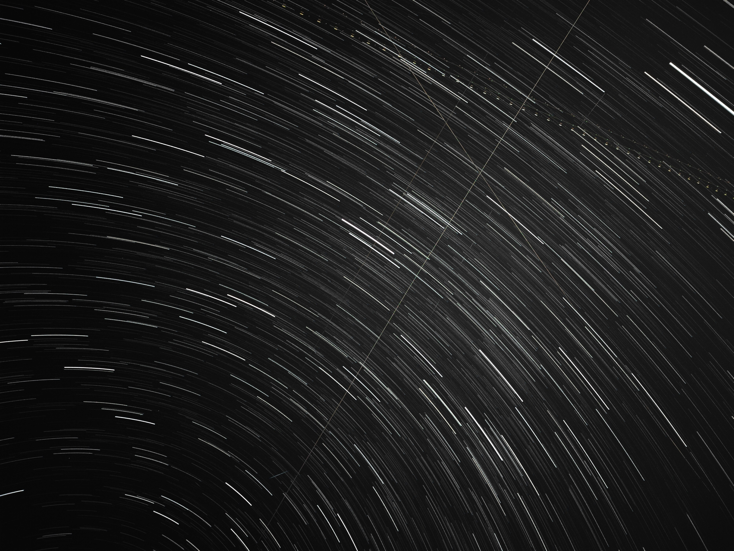 Намобилкус кавказский. Репортажный фотограф Алексей Пирязев