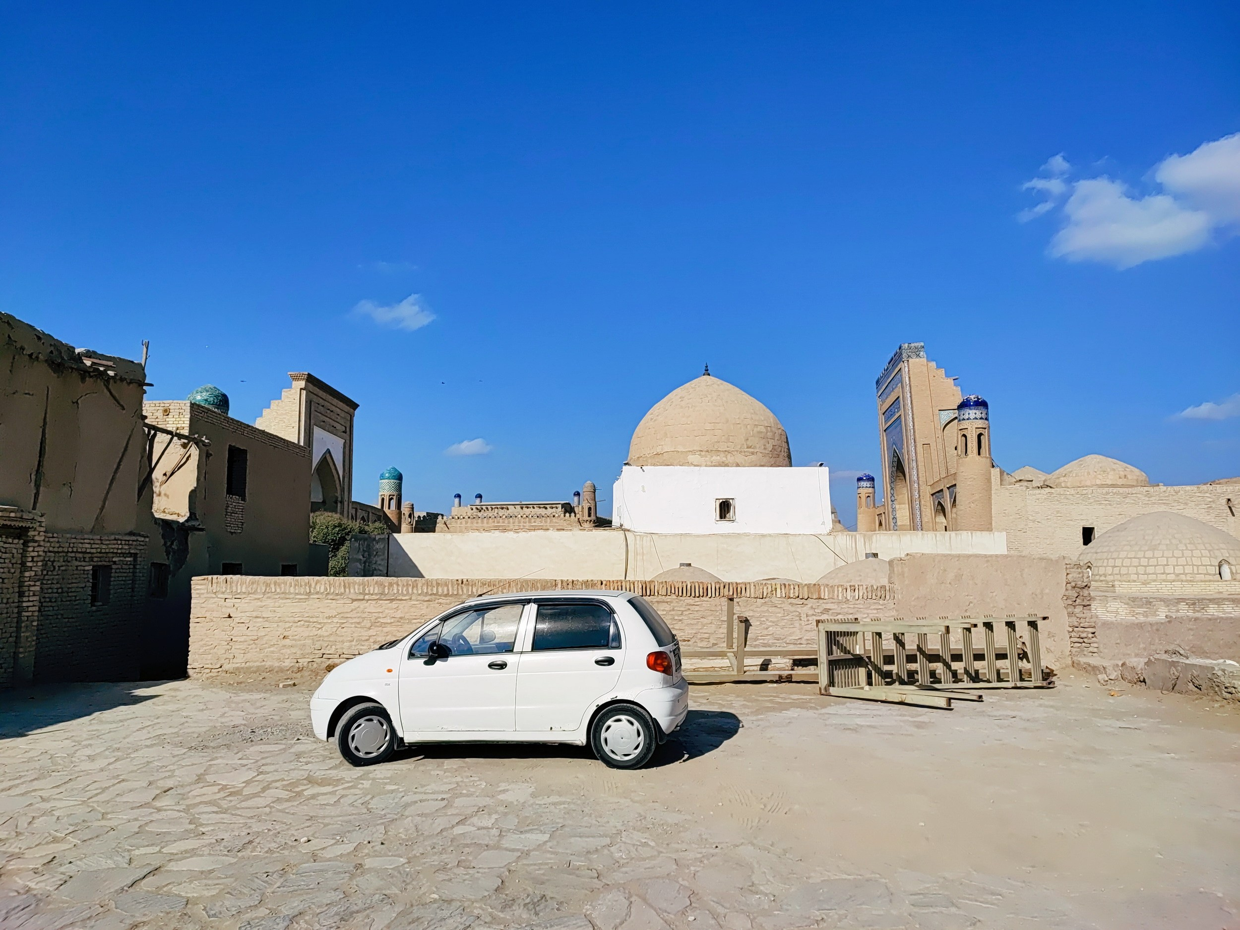 Намобилкус узбекский. Репортажный фотограф Алексей Пирязев