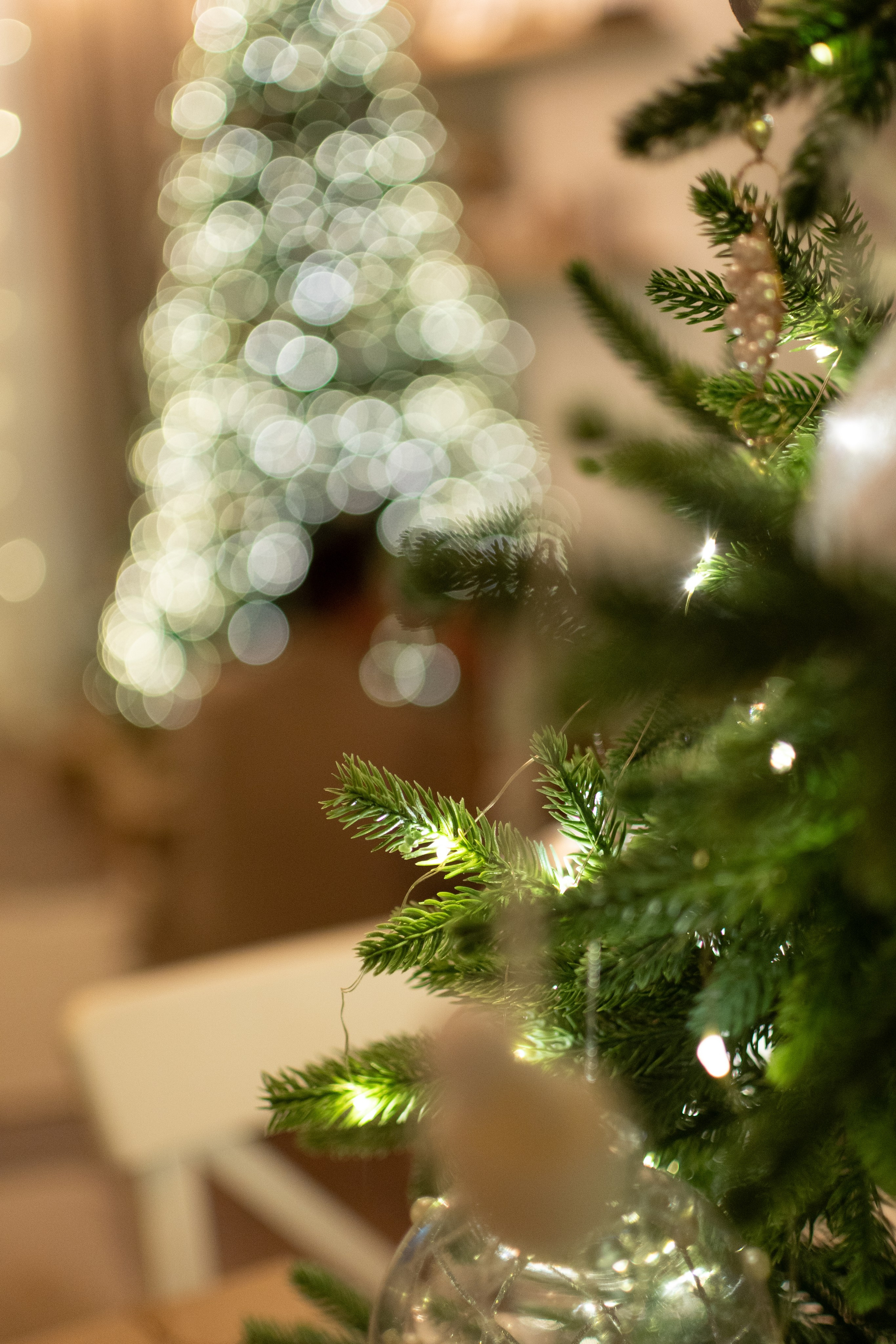 Новогодняя история. Семейный и свадебный фотограф Губкинский и Ставрополь