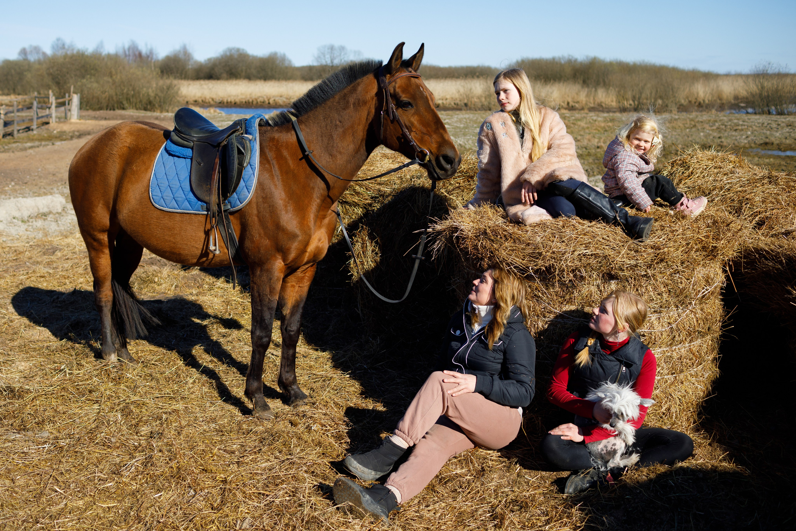Душевный День Рождения Алены в конном клубе «Кошкинский Фарватер». Портретный и репортажный фотограф в Санкт-Петербурге Андрей Воробьев