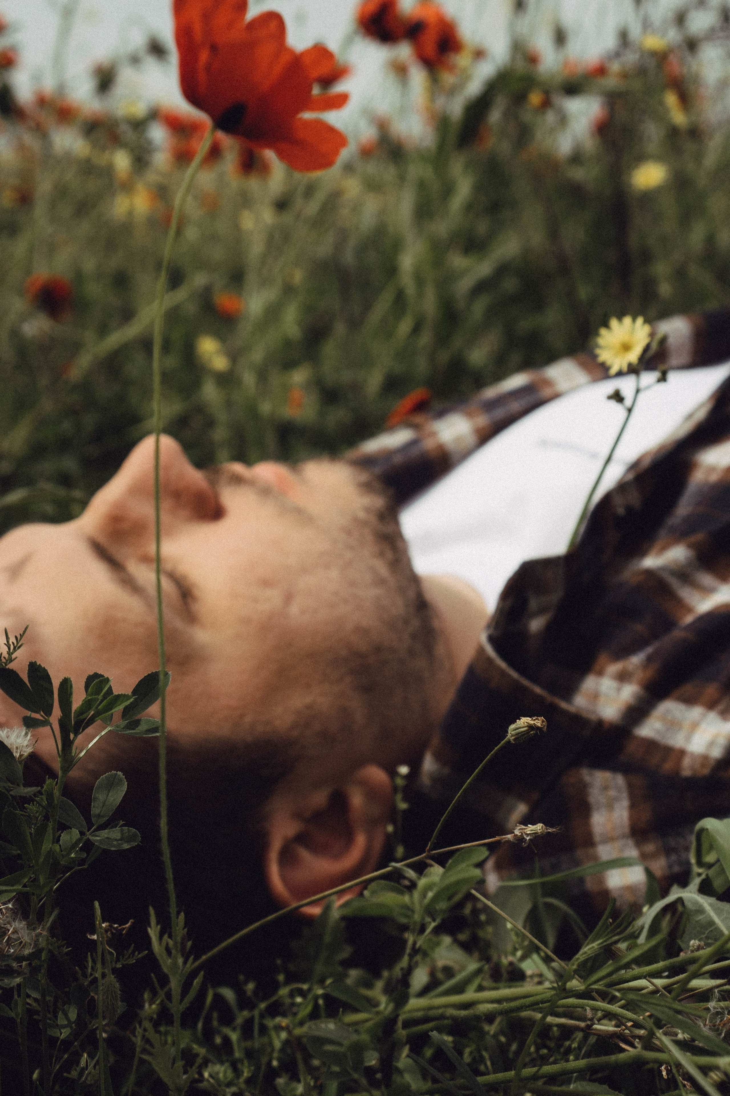 Маки. Профессиональный фотограф, Санкт-Петербург — Виктория Богомолова