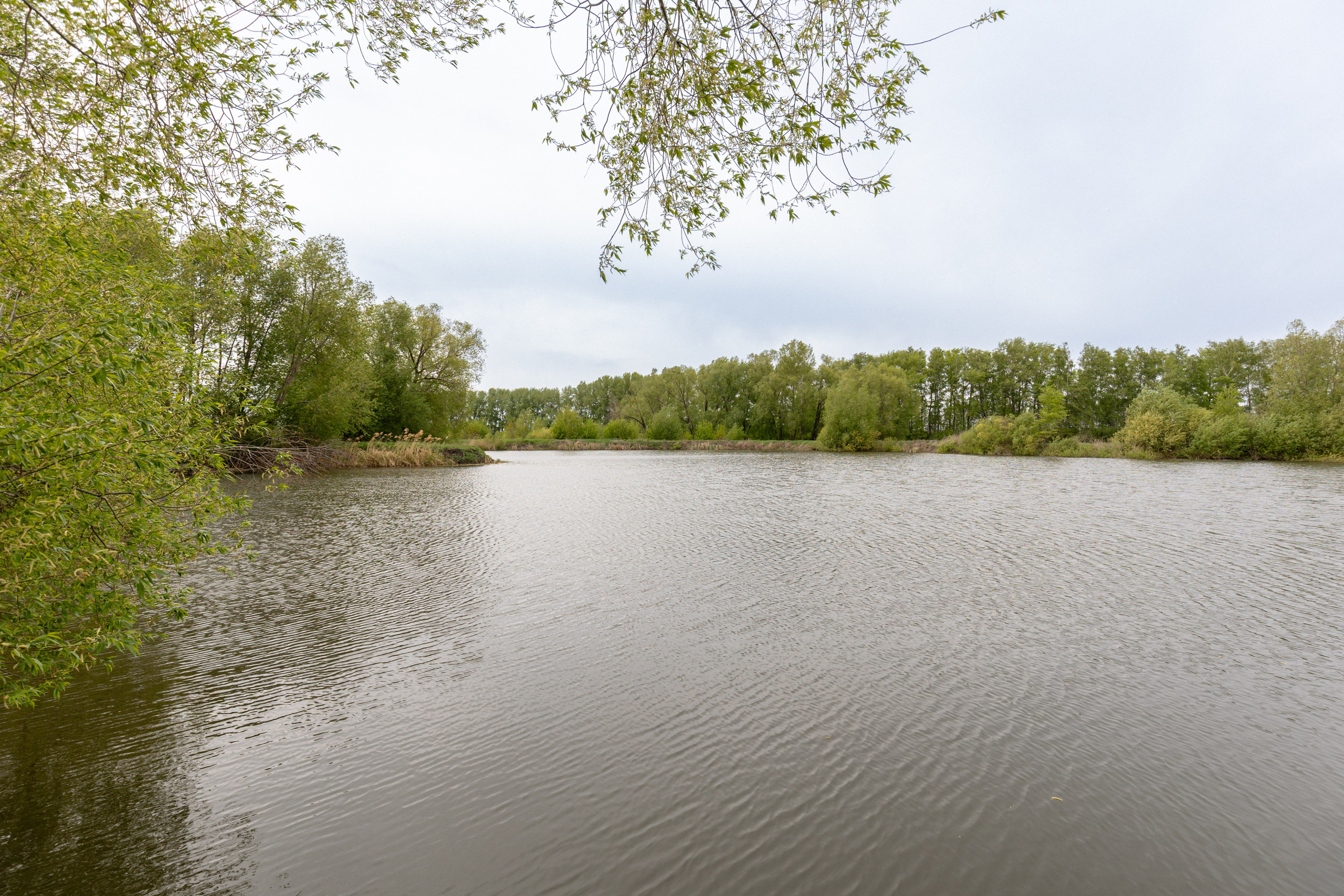 Приусадебный участок. Владислав Волков | Фотография и видеосъемка в Воронеже