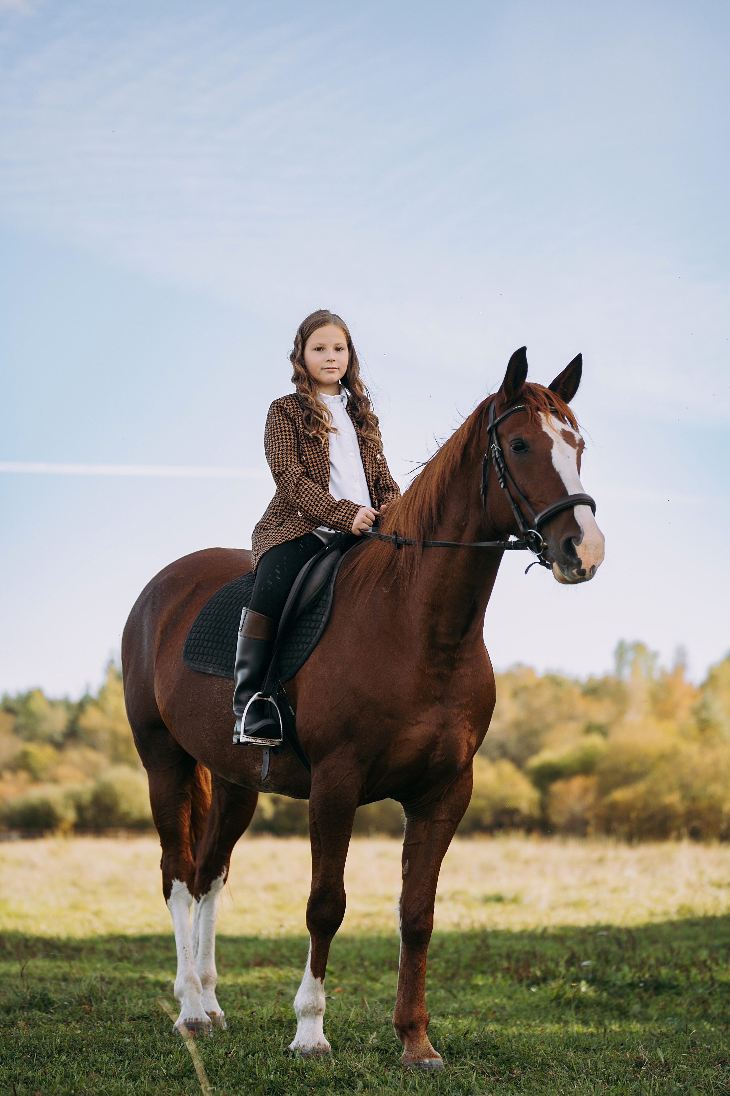 Конные. Главная