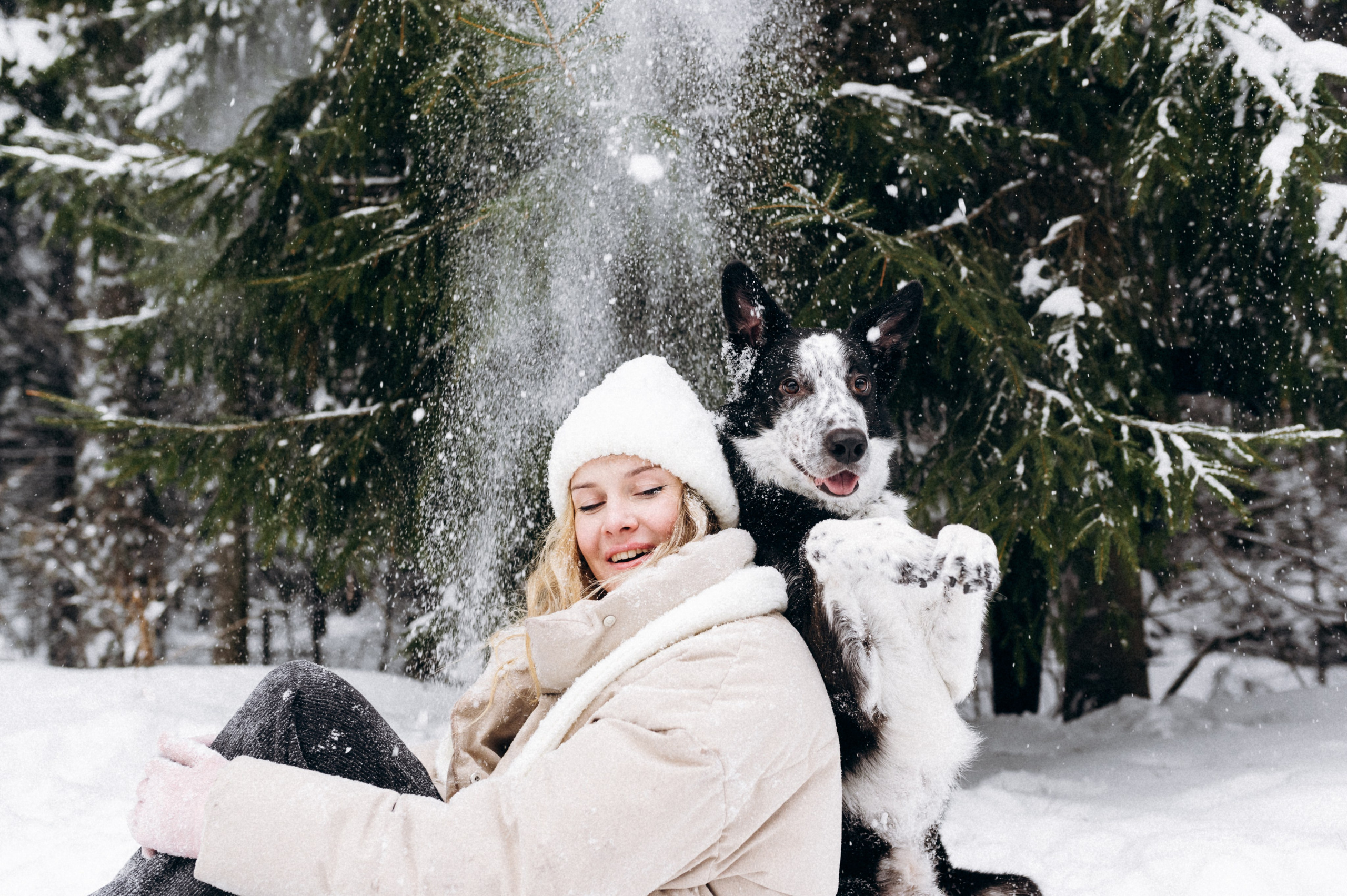 Аня и Милан. Фотограф анималист в Москве Ольга Агушева