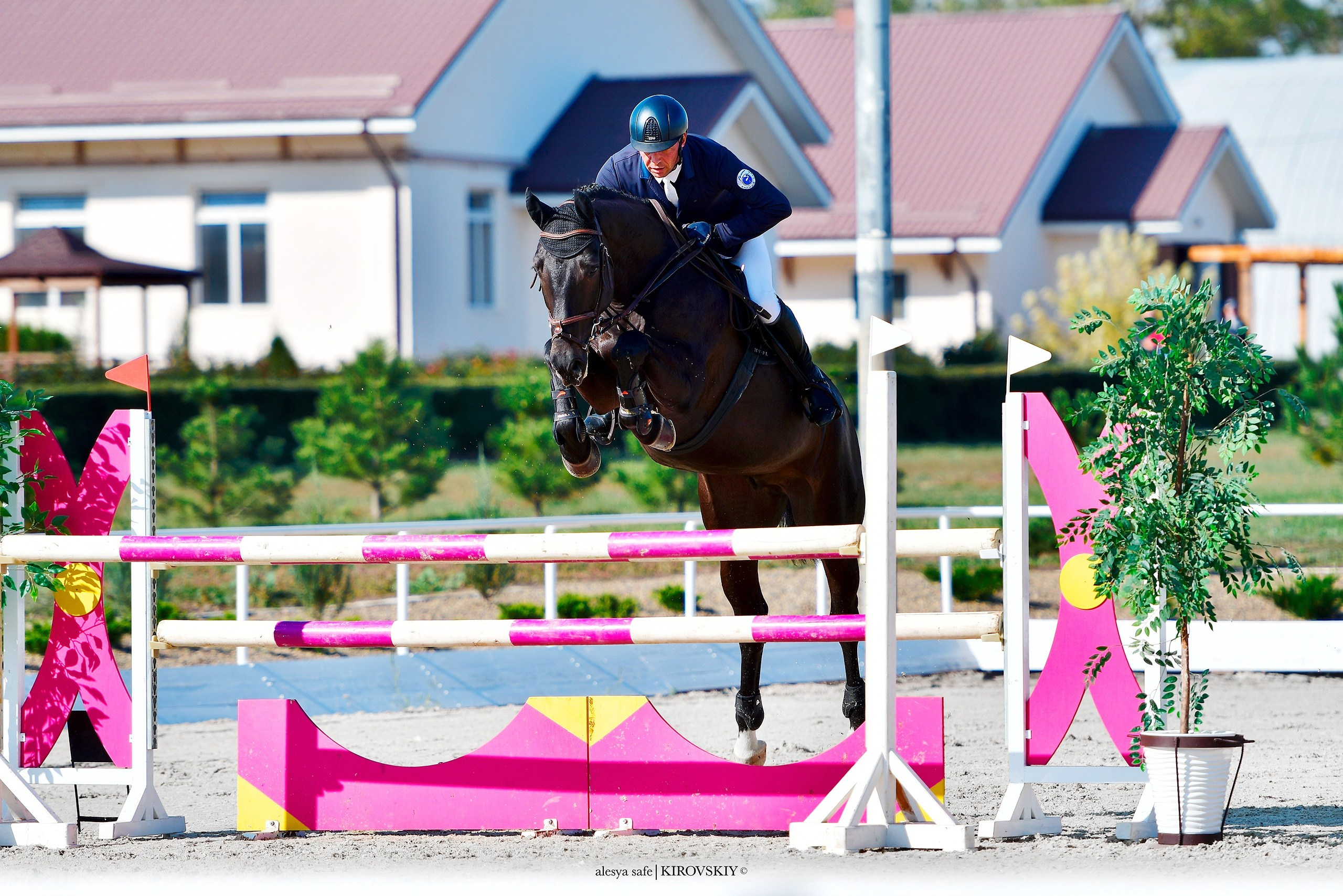 Кировский конный завод. Конный фотограф Alesya Safe