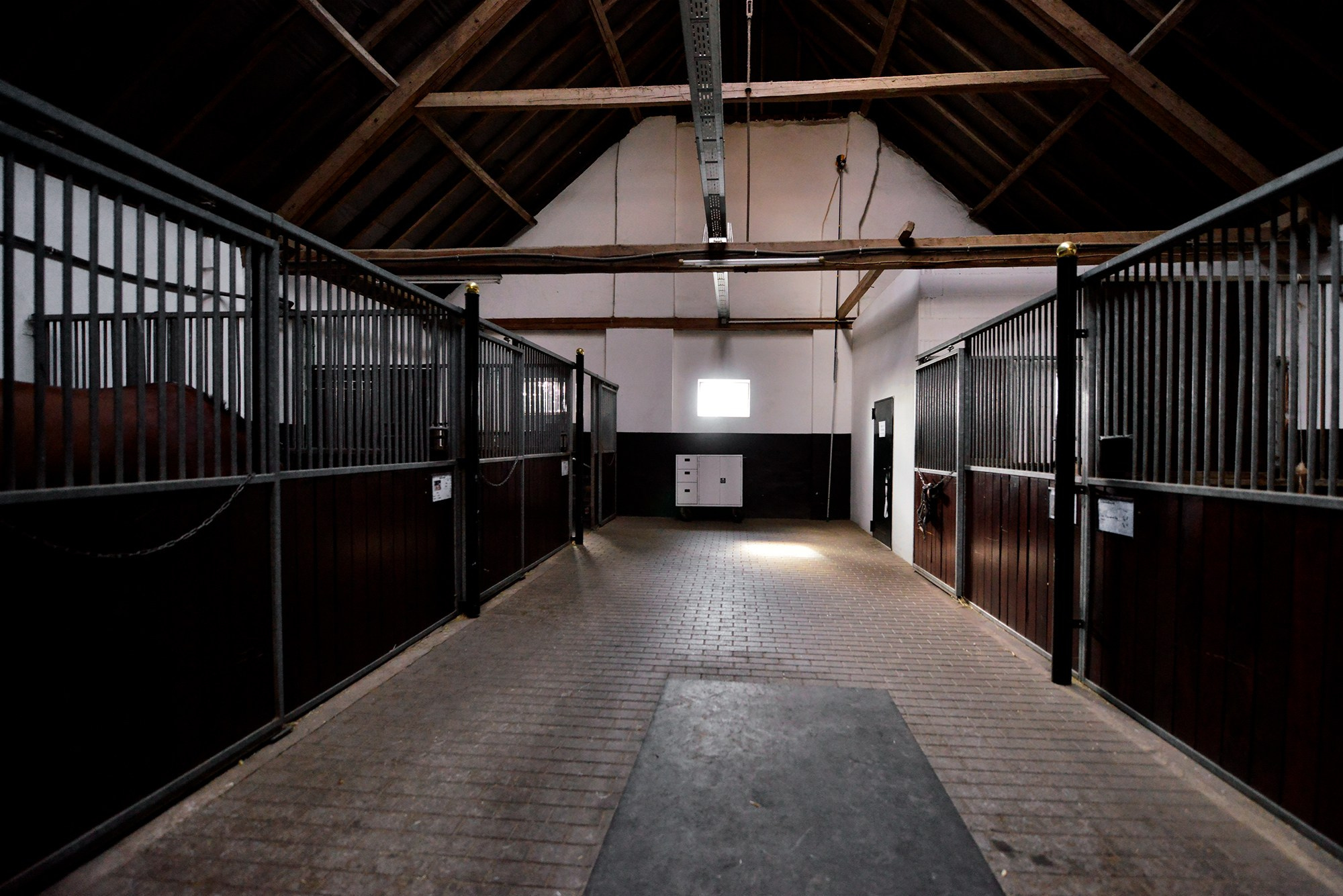 Конные клубы. Конный фотограф Alesya Safe