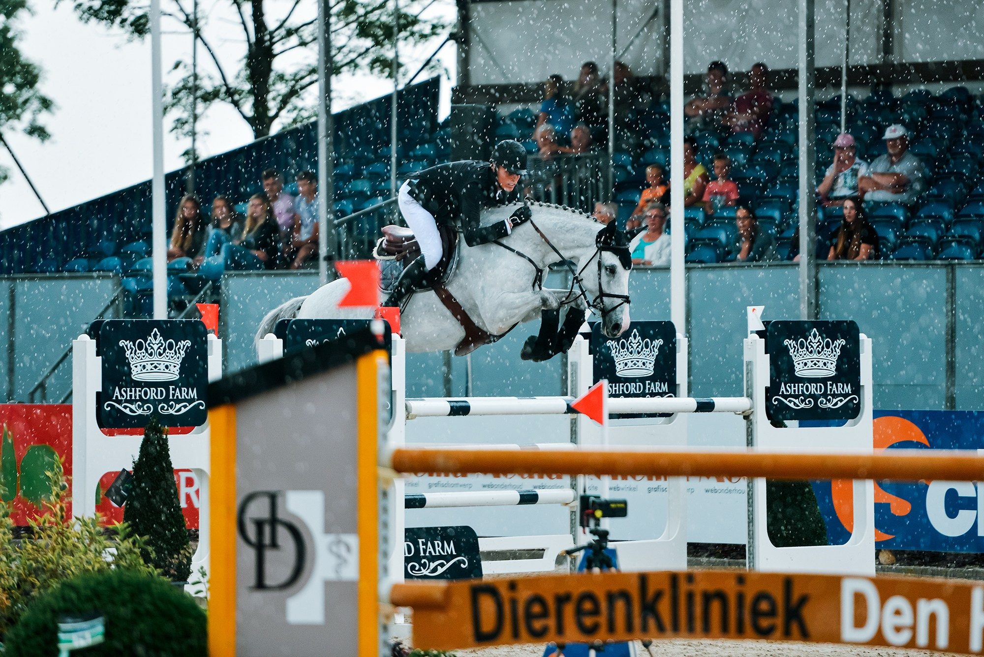 Конкур. Конный фотограф Alesya Safe