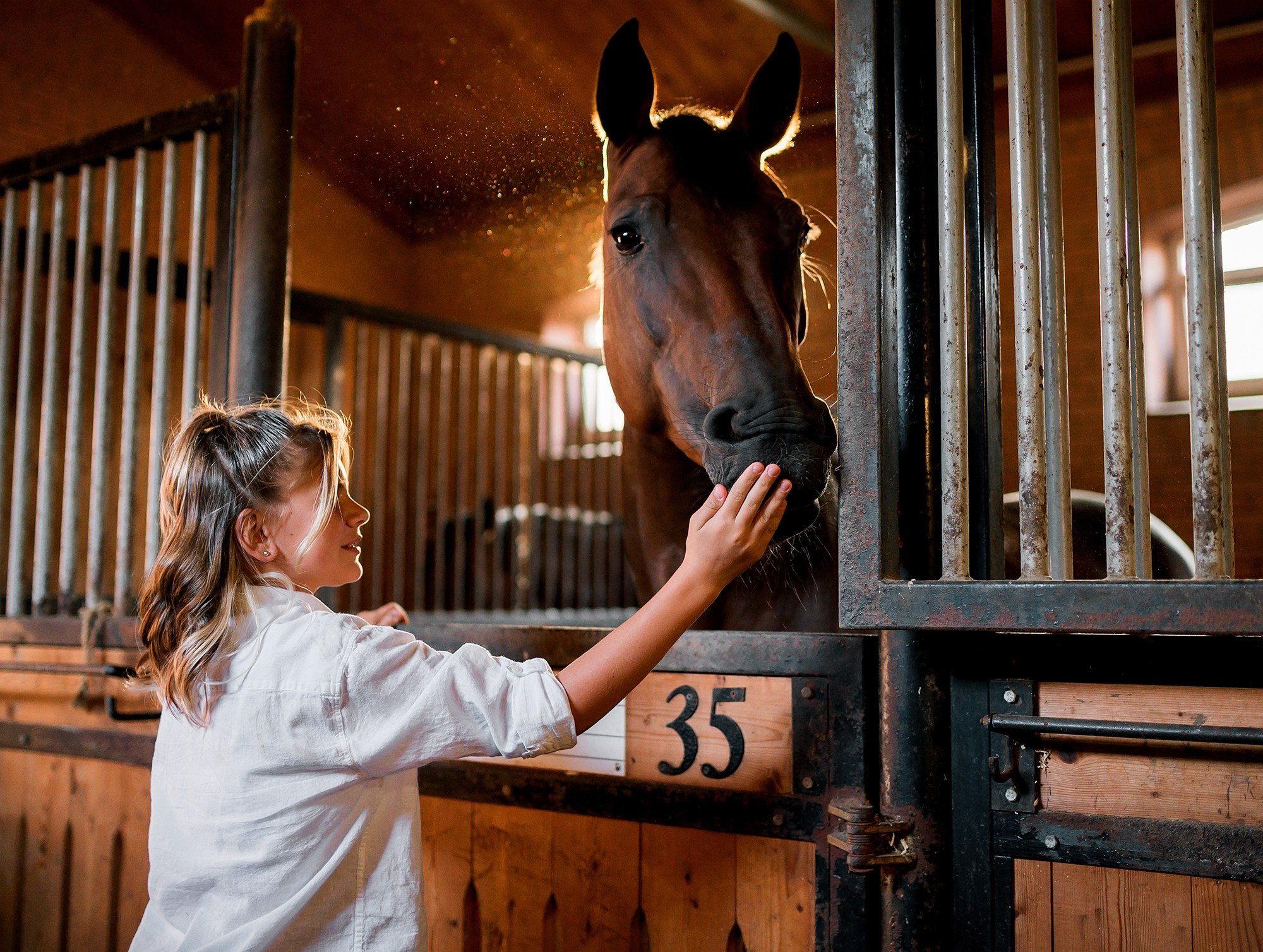 Частные съемки_фото. Конный фотограф Alesya Safe