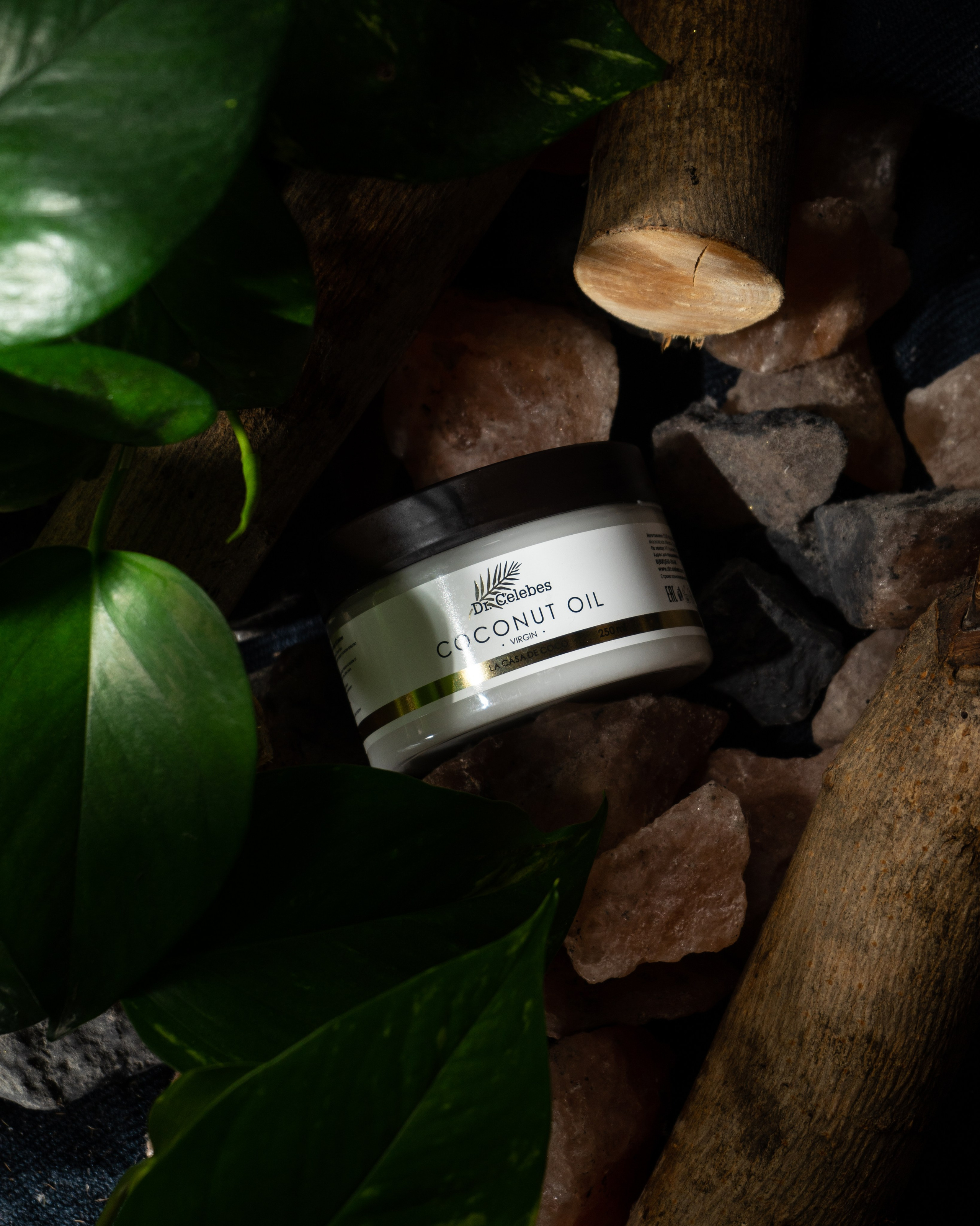 Dr.Celebes. Концептуальный фотограф Шлыкова Ольга