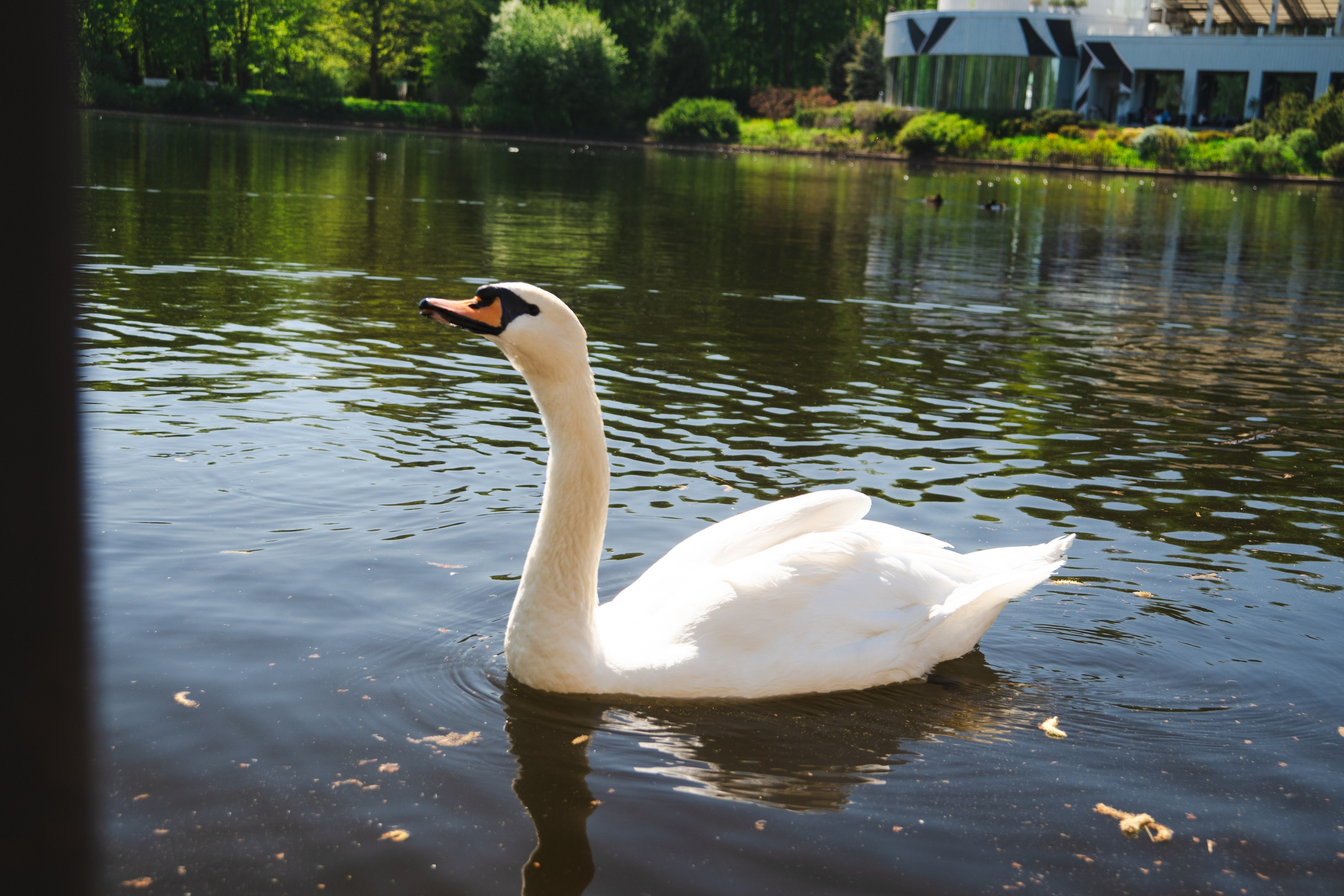 Дарья. Видеограф, фотограф в Санкт-Петербурге Элеонора Петрова