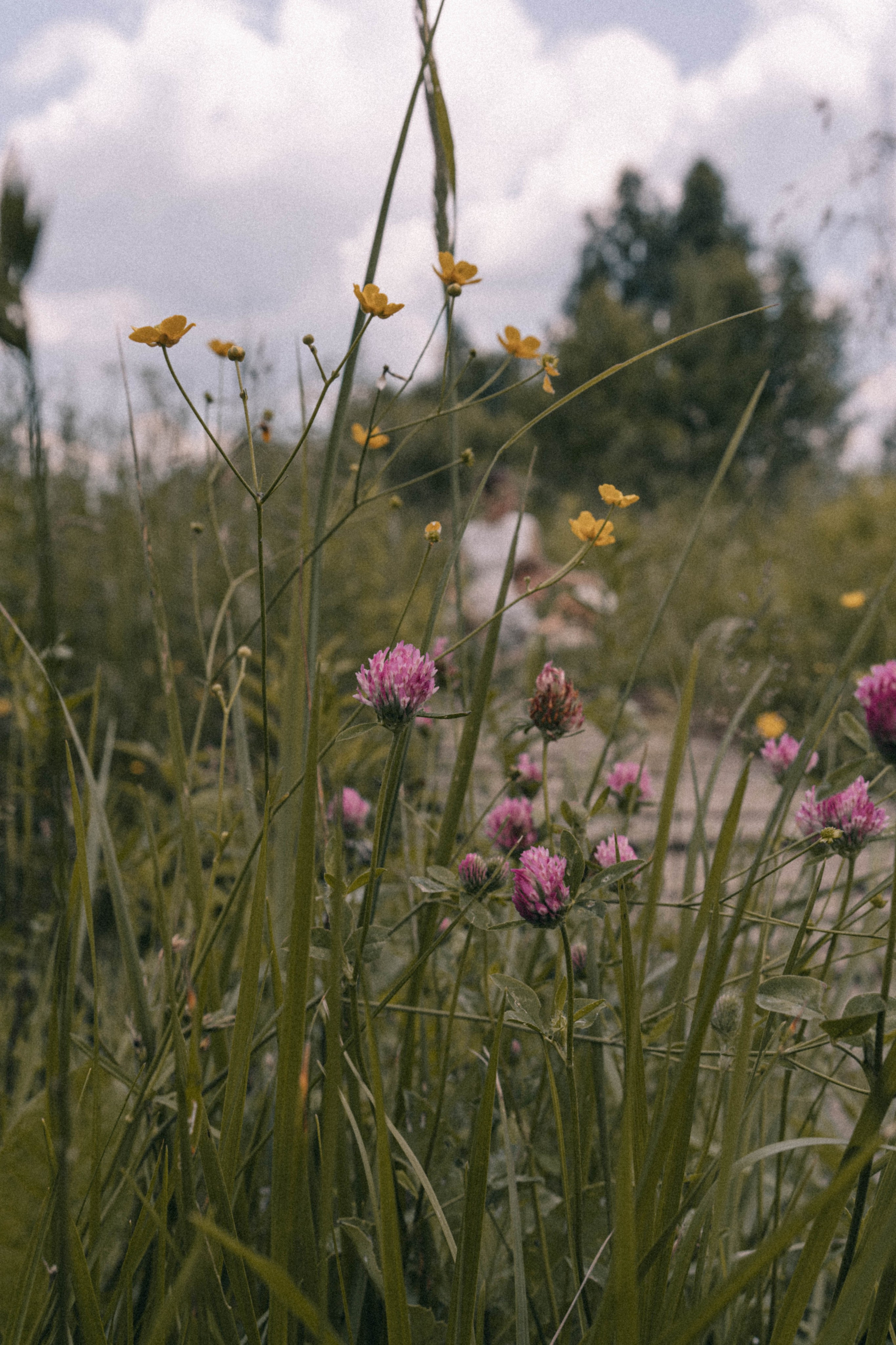 До луны и обратно. Семейный и свадебный фотограф