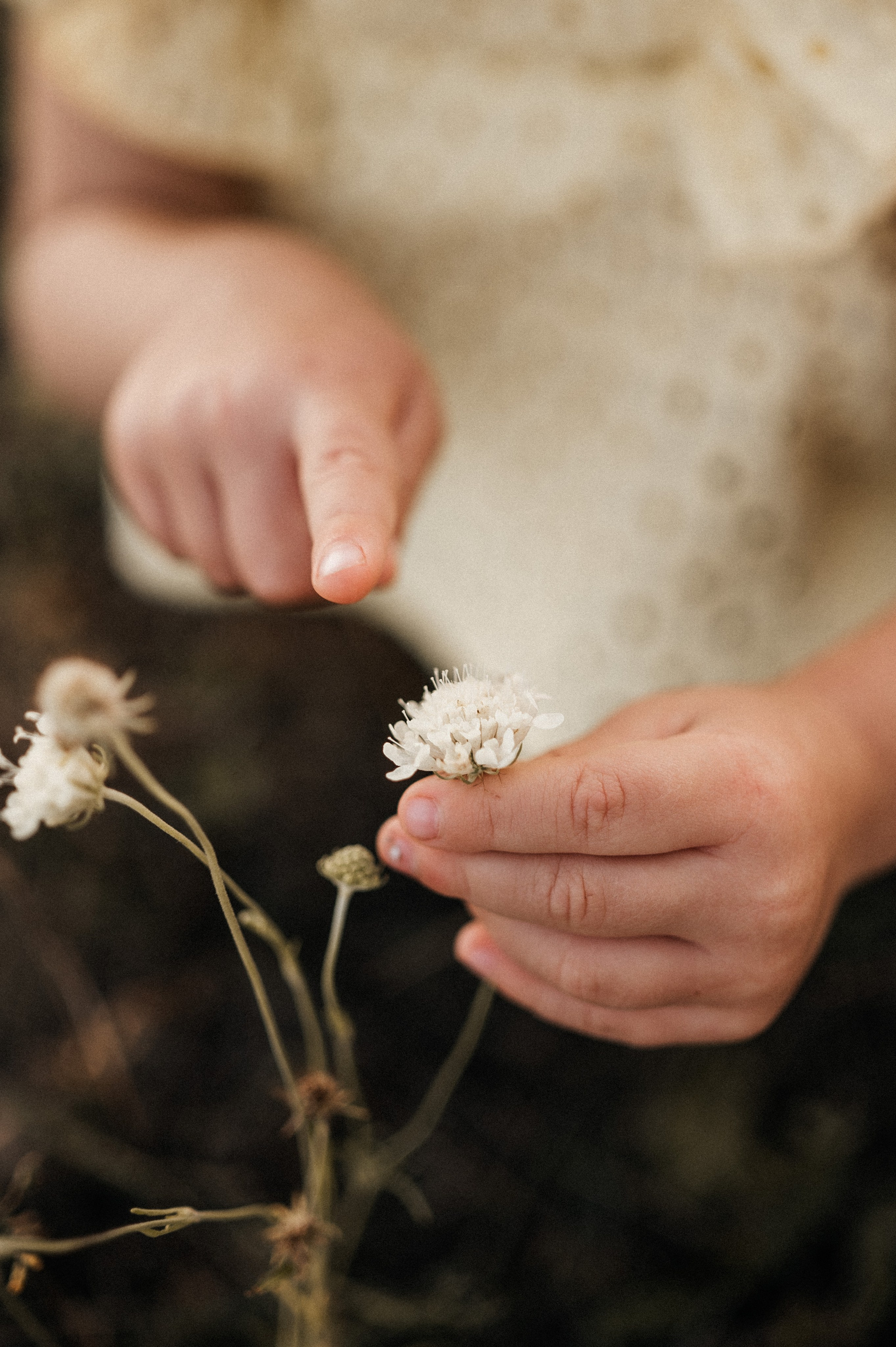 Солнечный. Свадебный и семейный фотограф в Белгороде