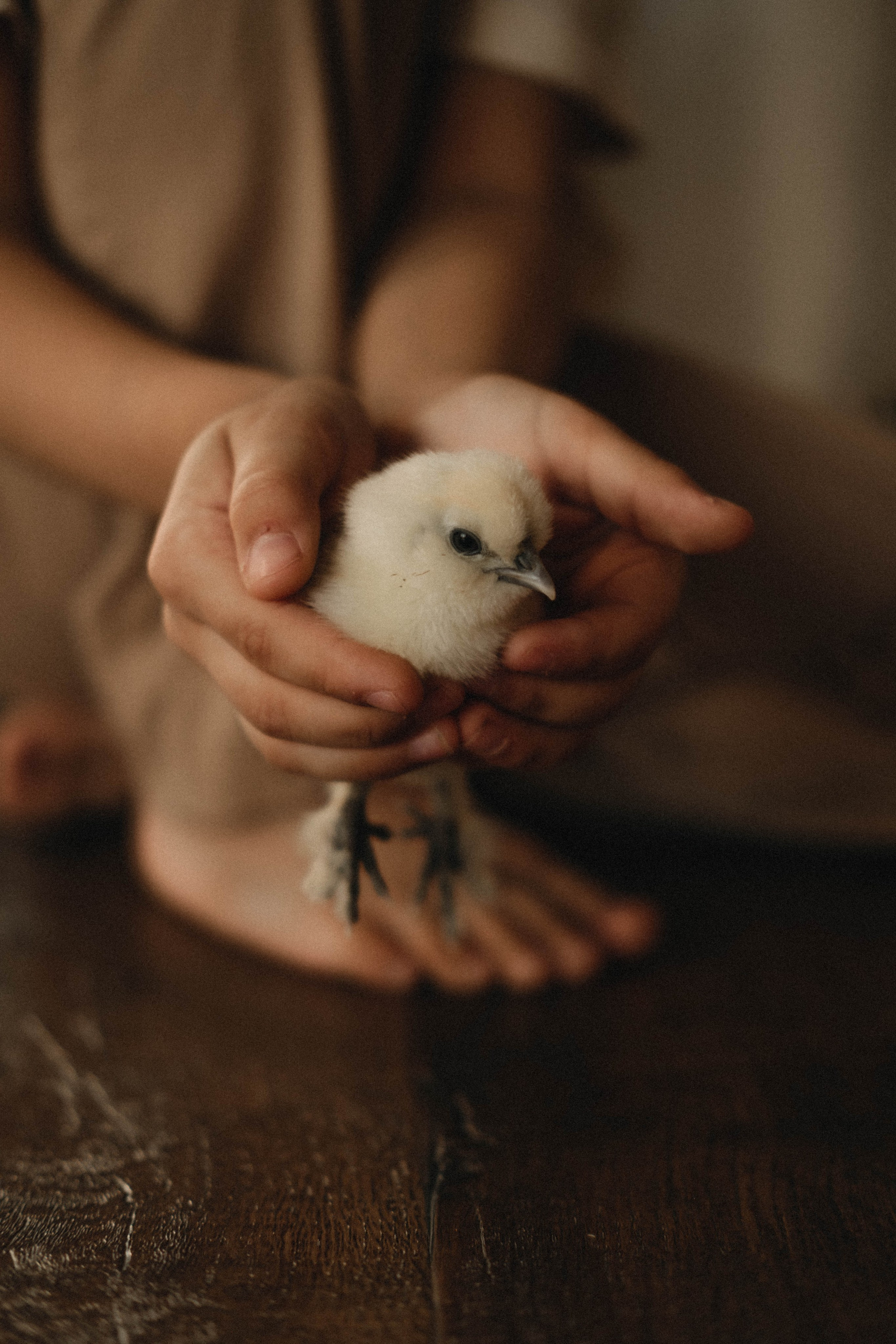 7. Свадебный фотограф Челябинск