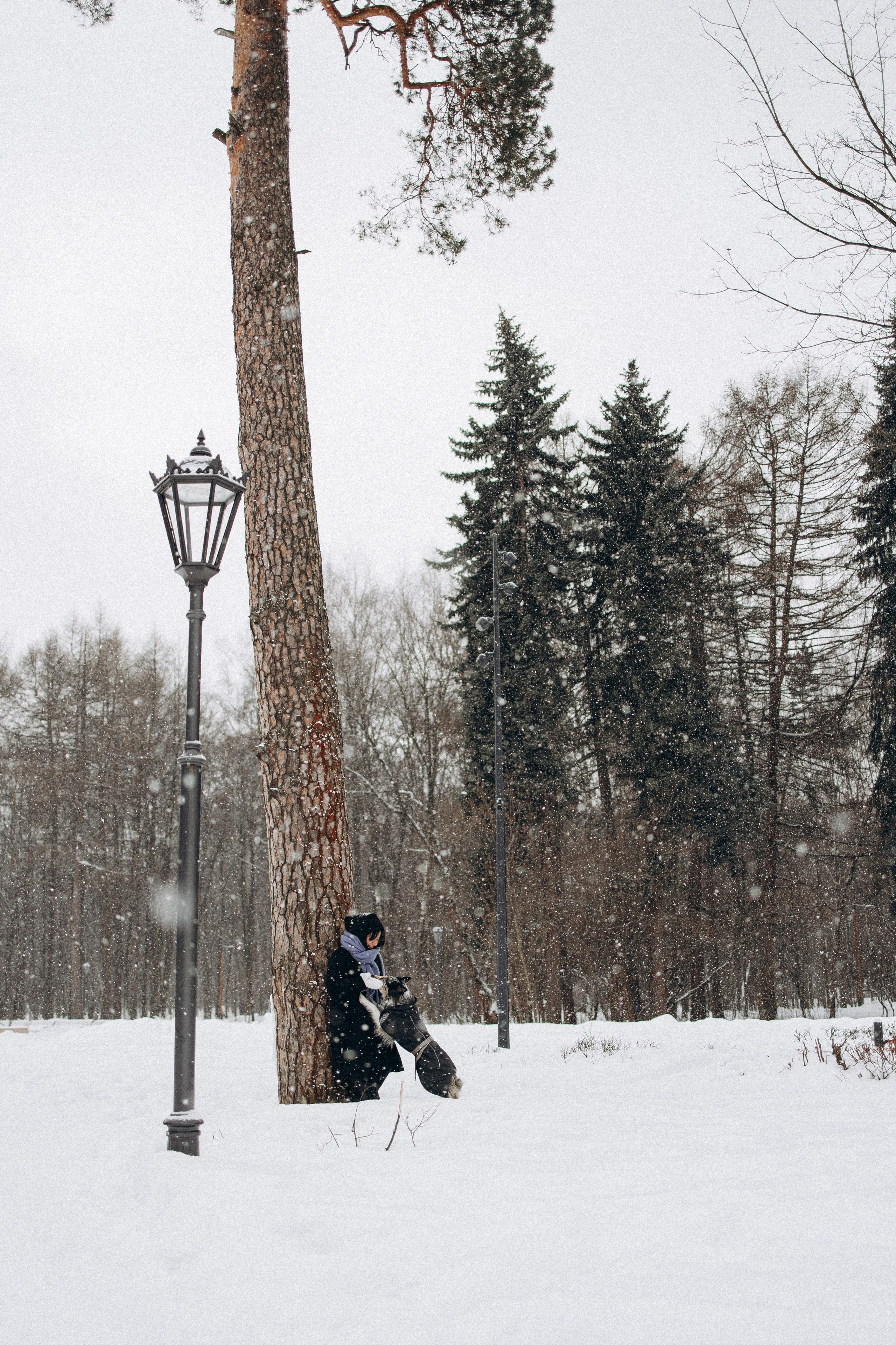 Настя и Тор. Фотораф — анималист Мария Шистка