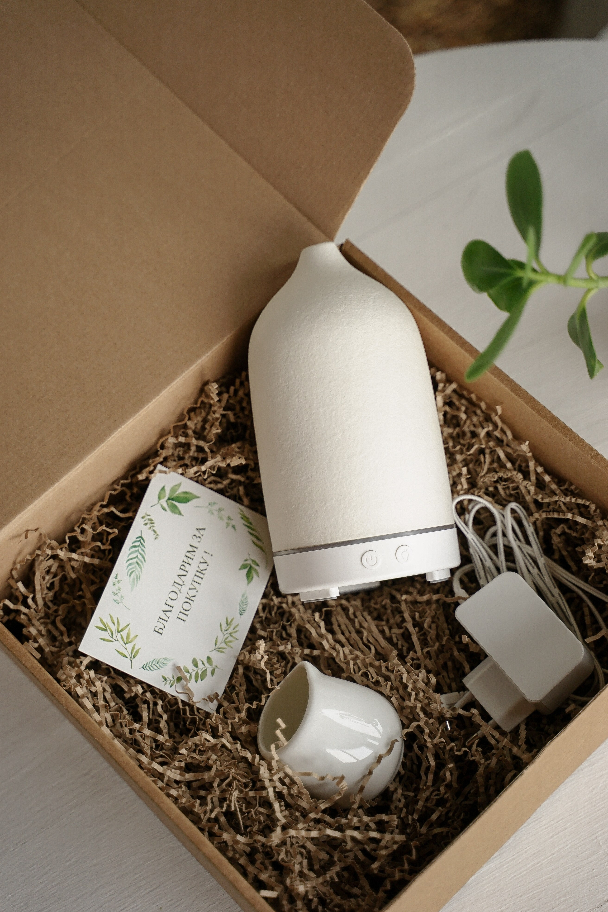 Арома диффузоры. Фотограф Надежда Мигунова