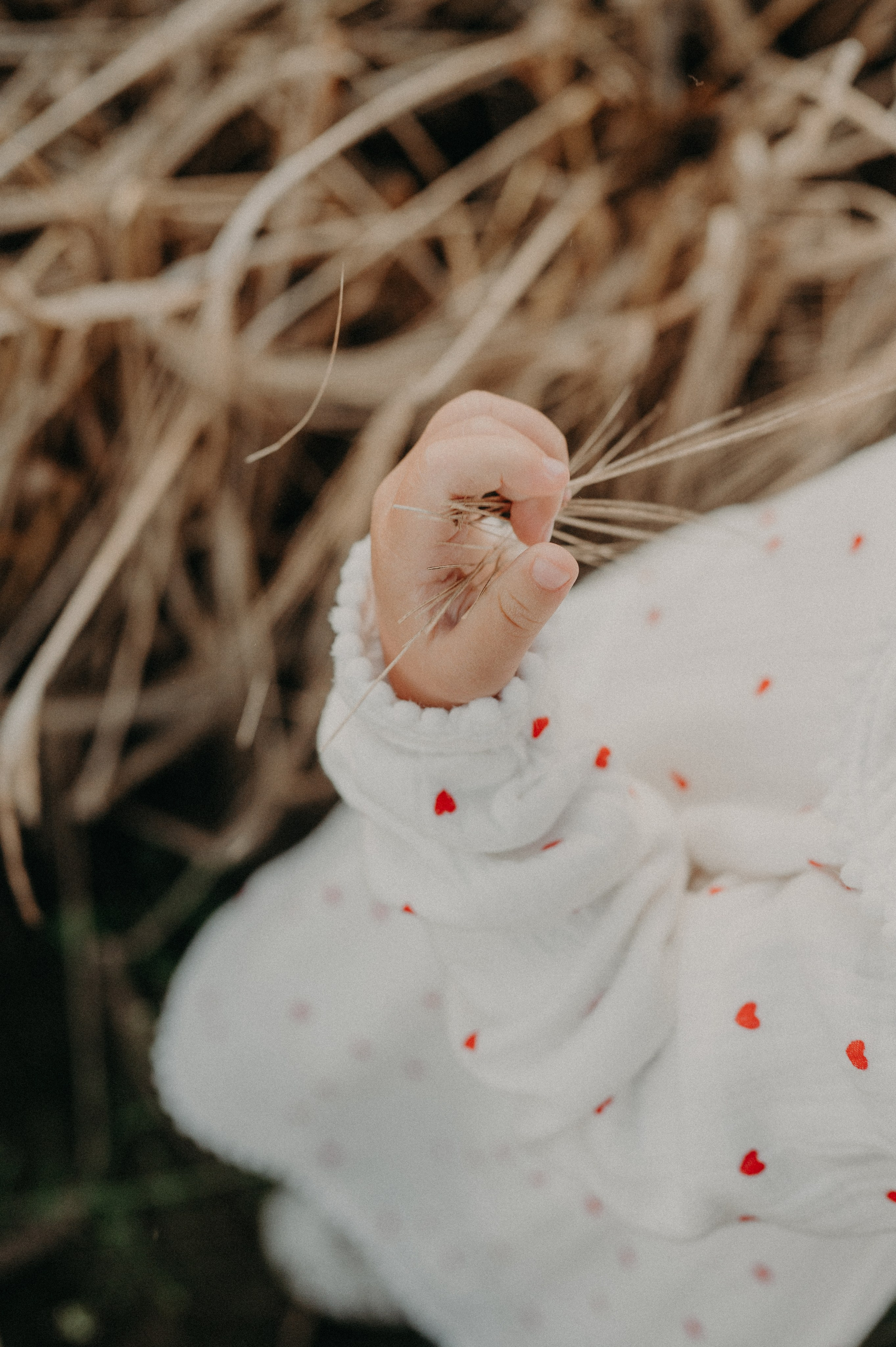 Маша Ваня & Ева. Марина Шуляк Фотограф Кострома — Санкт Петербург