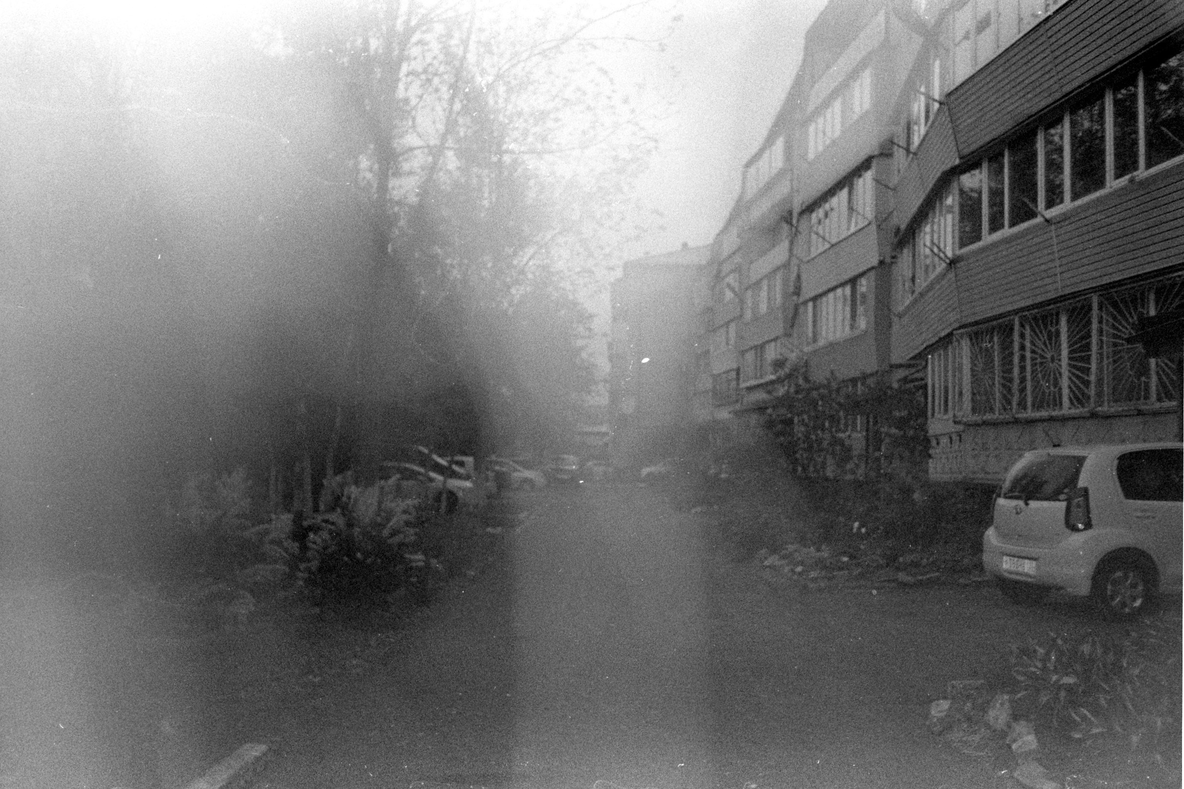 Плёнка весна-лето 2025. Ирина Чернова — портретный фотограф и маркетолог из Владивостока