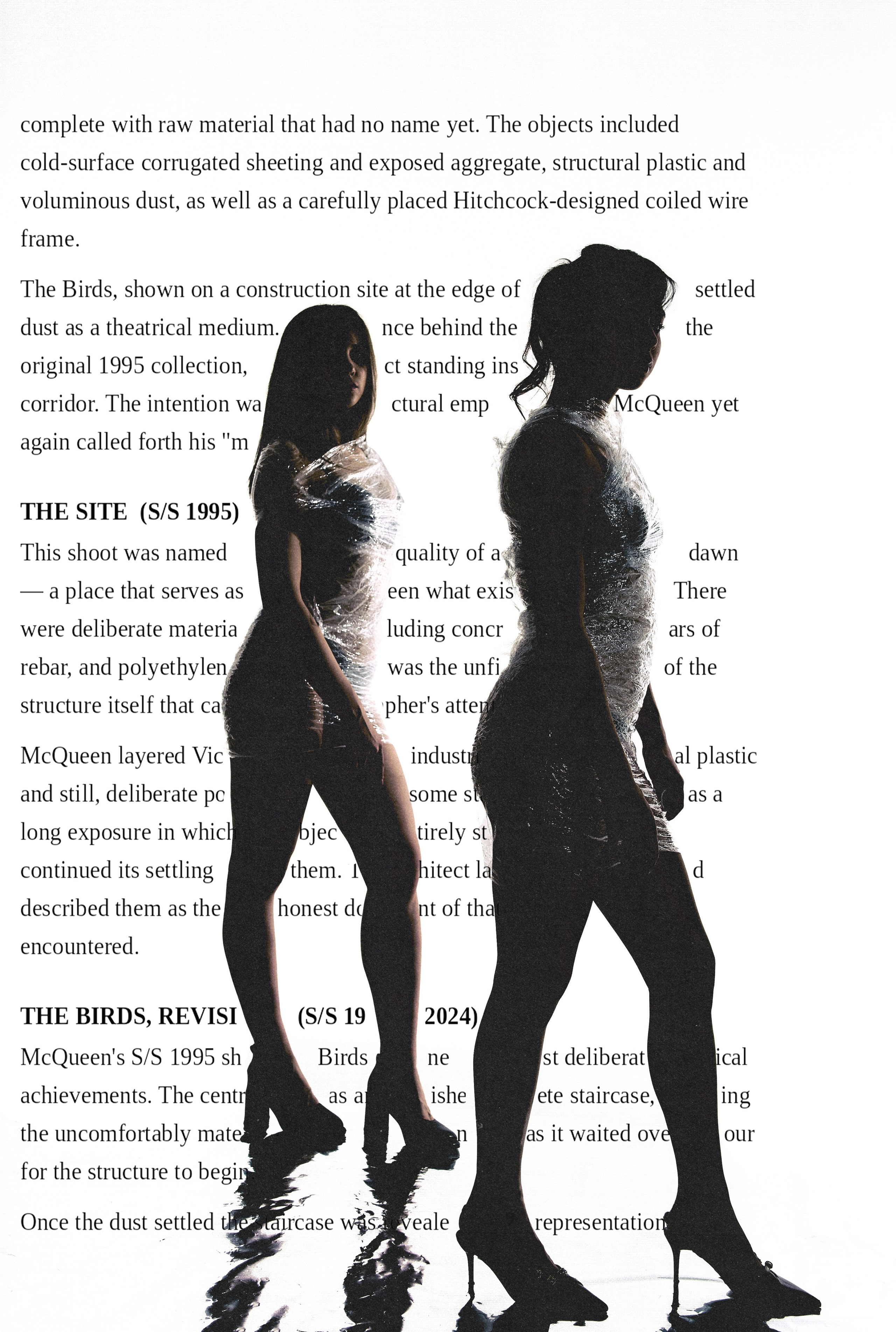 The birds inspiration. Фотограф Тимур Хайруллин