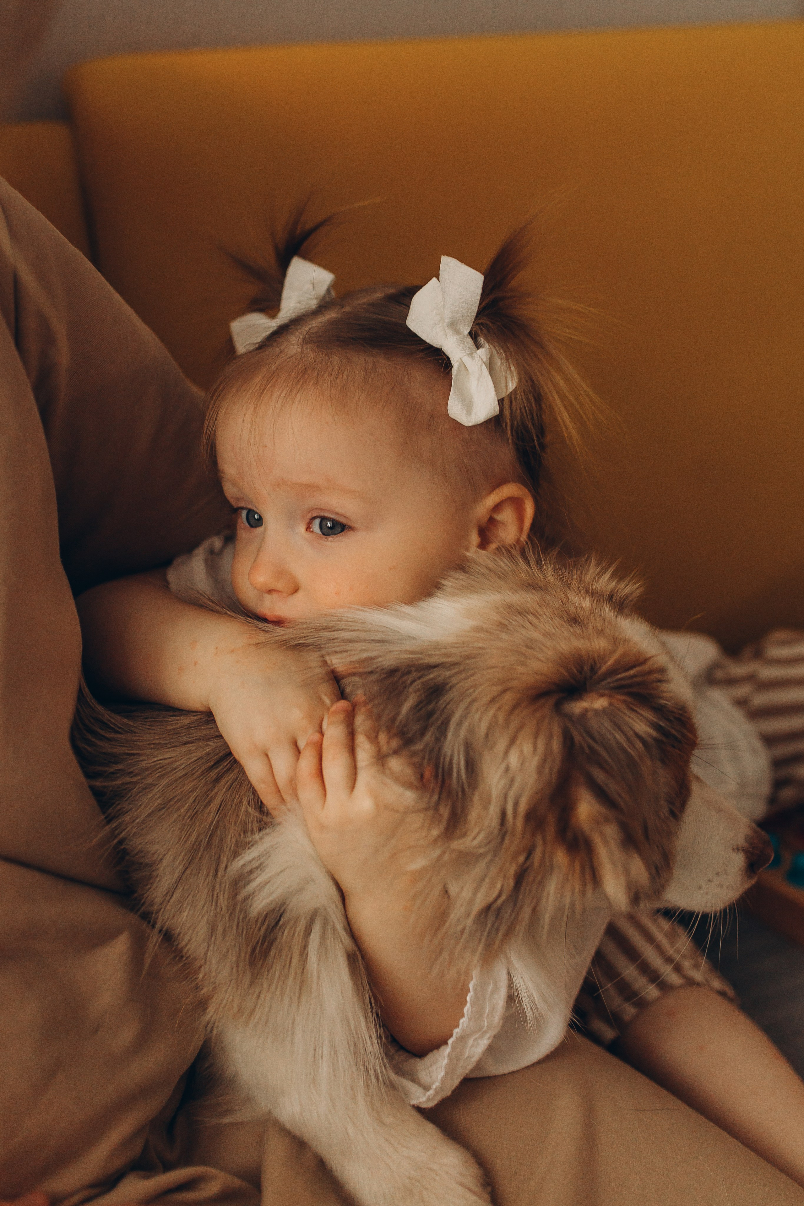 Праздничная детская фотосессия в Санкт-Петербурге: именинница играет с собакой в уютной домашней обстановке. Фотограф Маруся Самылкина в спб.