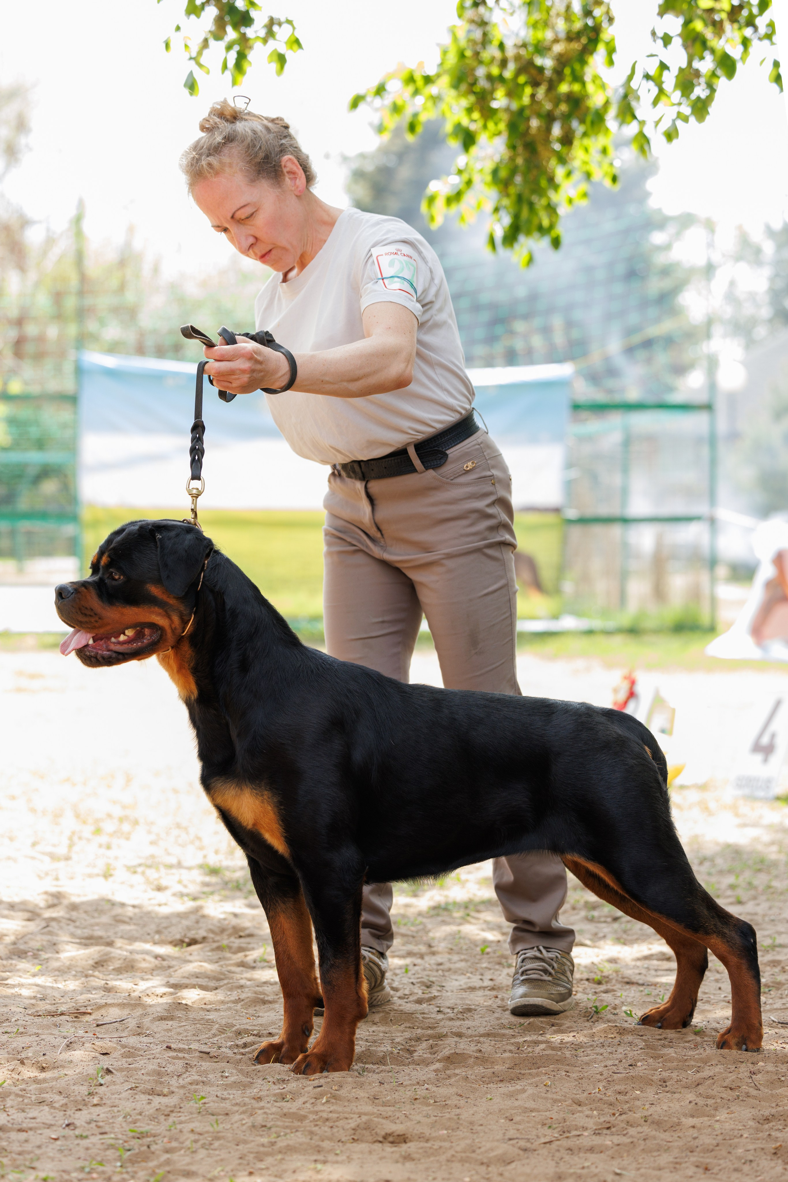 Саратов моно ротвейлеров 26-27.04.2025. Фотограф-анималист Юлия Германика