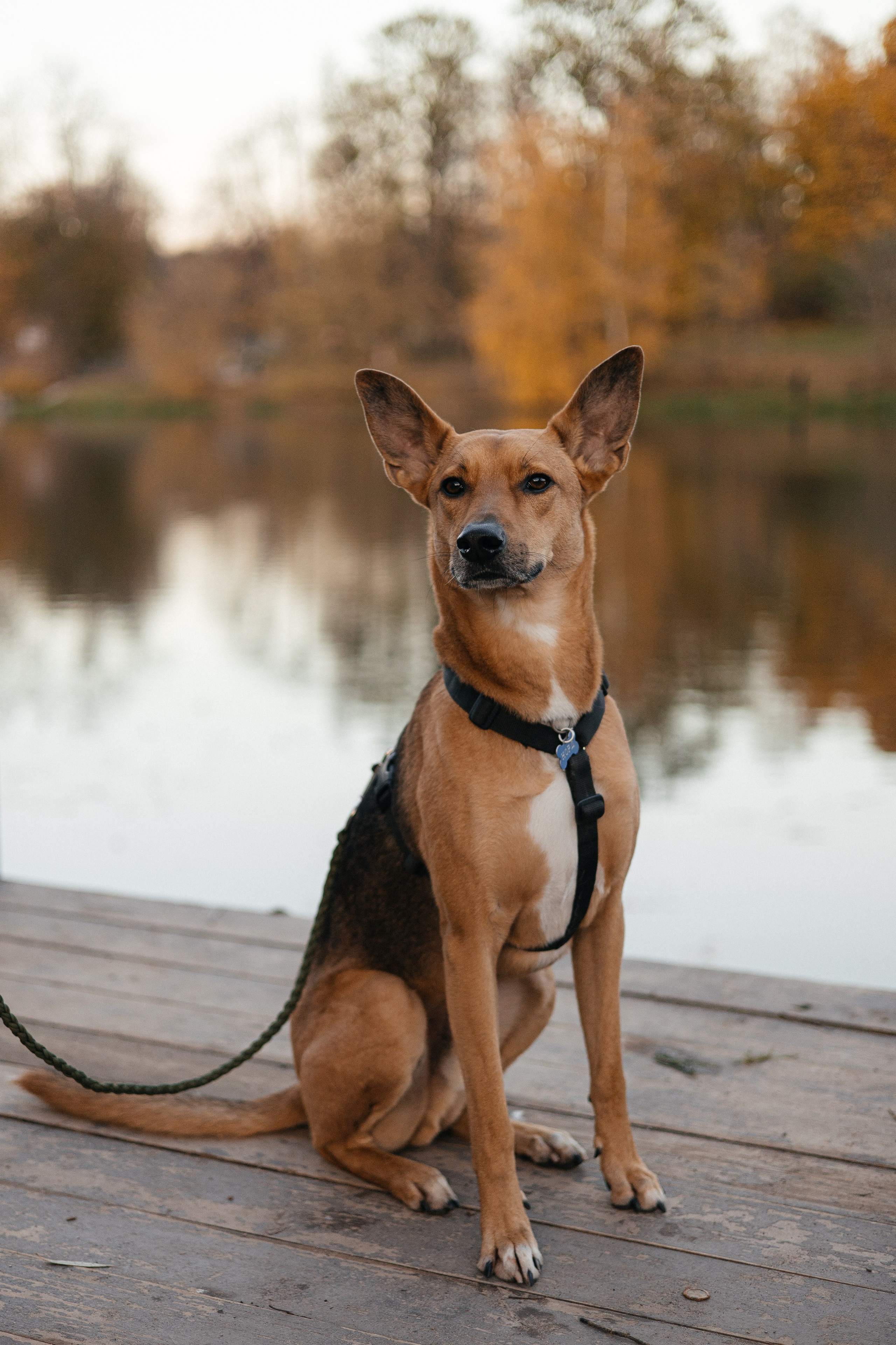 Нелли, Лёша, Рэй и Норд. Фотограф Анна Луценко Москва