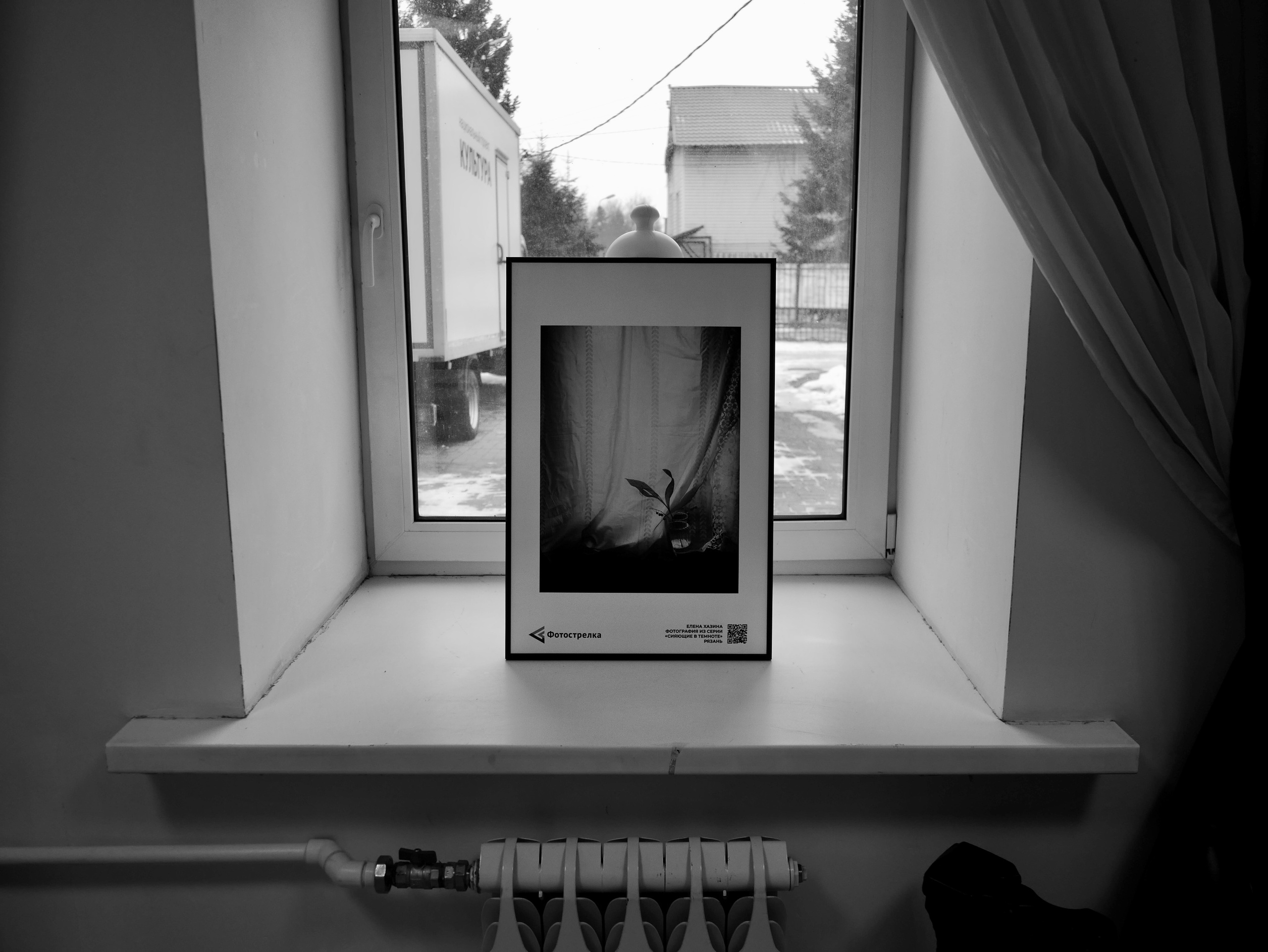 Медынь 25.01.2025. Фотострелка