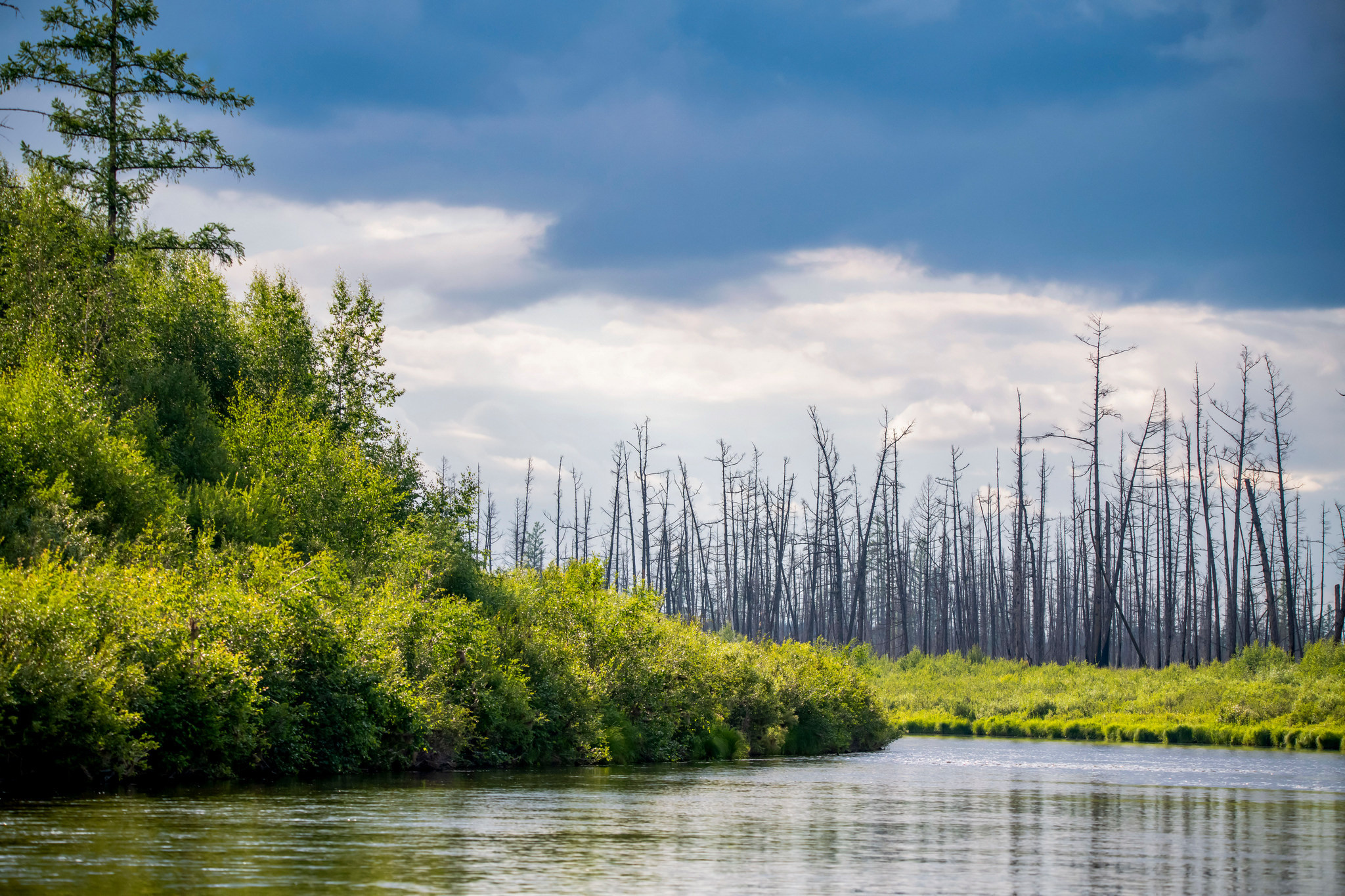 Пейзажный фотограф, Фотографии дикой природы. Foto-Zuev фотография как искусство