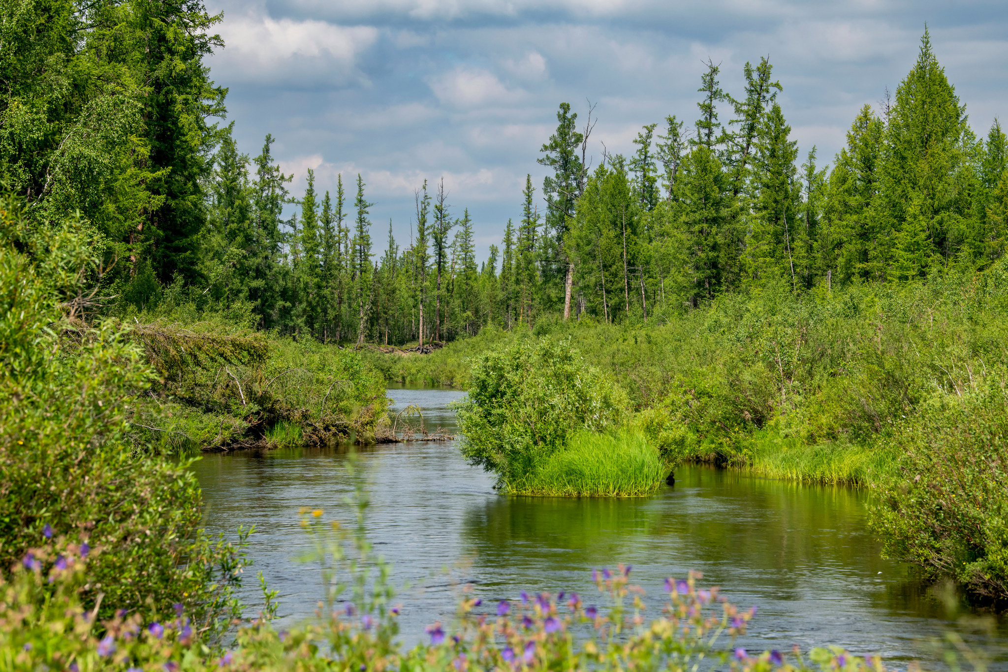Пейзажный фотограф, Фотографии дикой природы. Foto-Zuev фотография как искусство