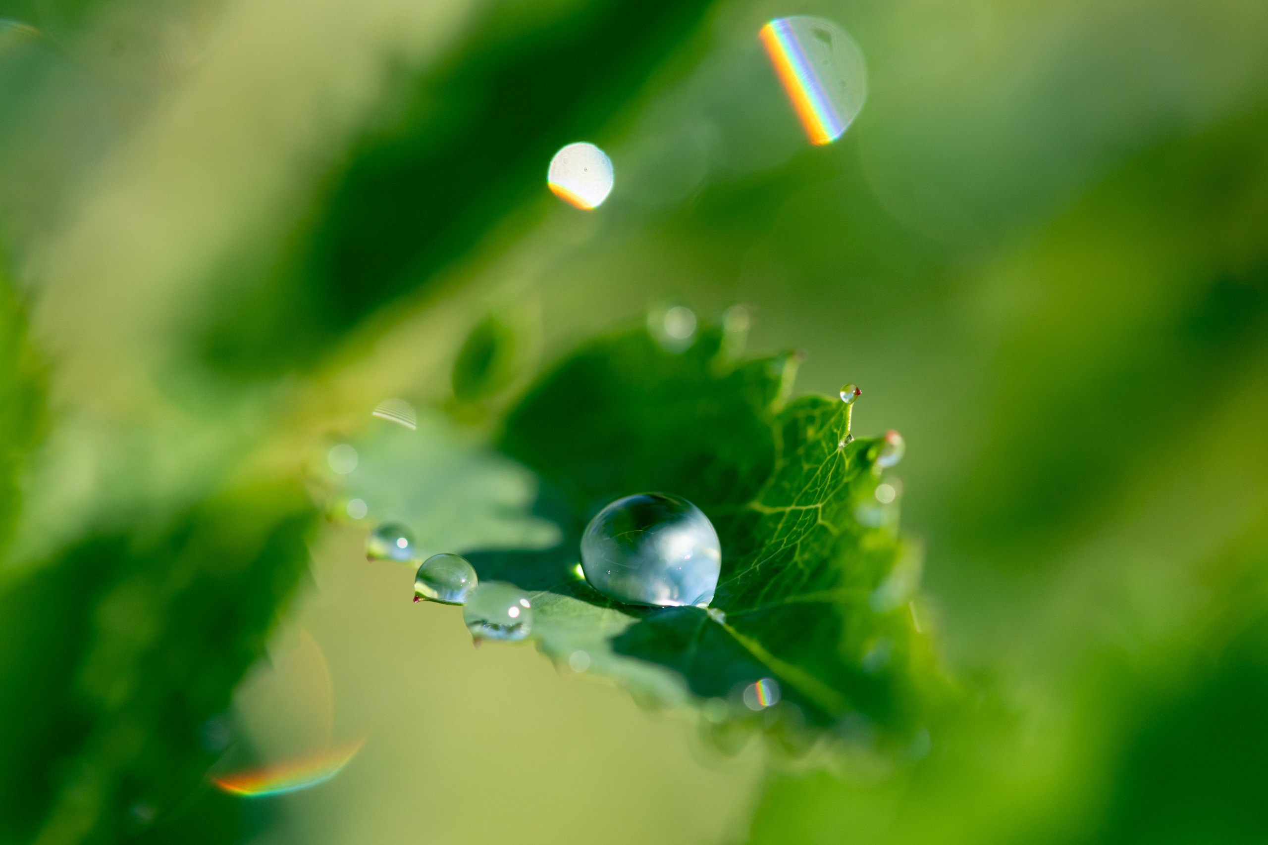 Тайга, Россия, Природа, Пейзаж, Foto-zuev, Fotozuev, фотограф Зуев Андрей