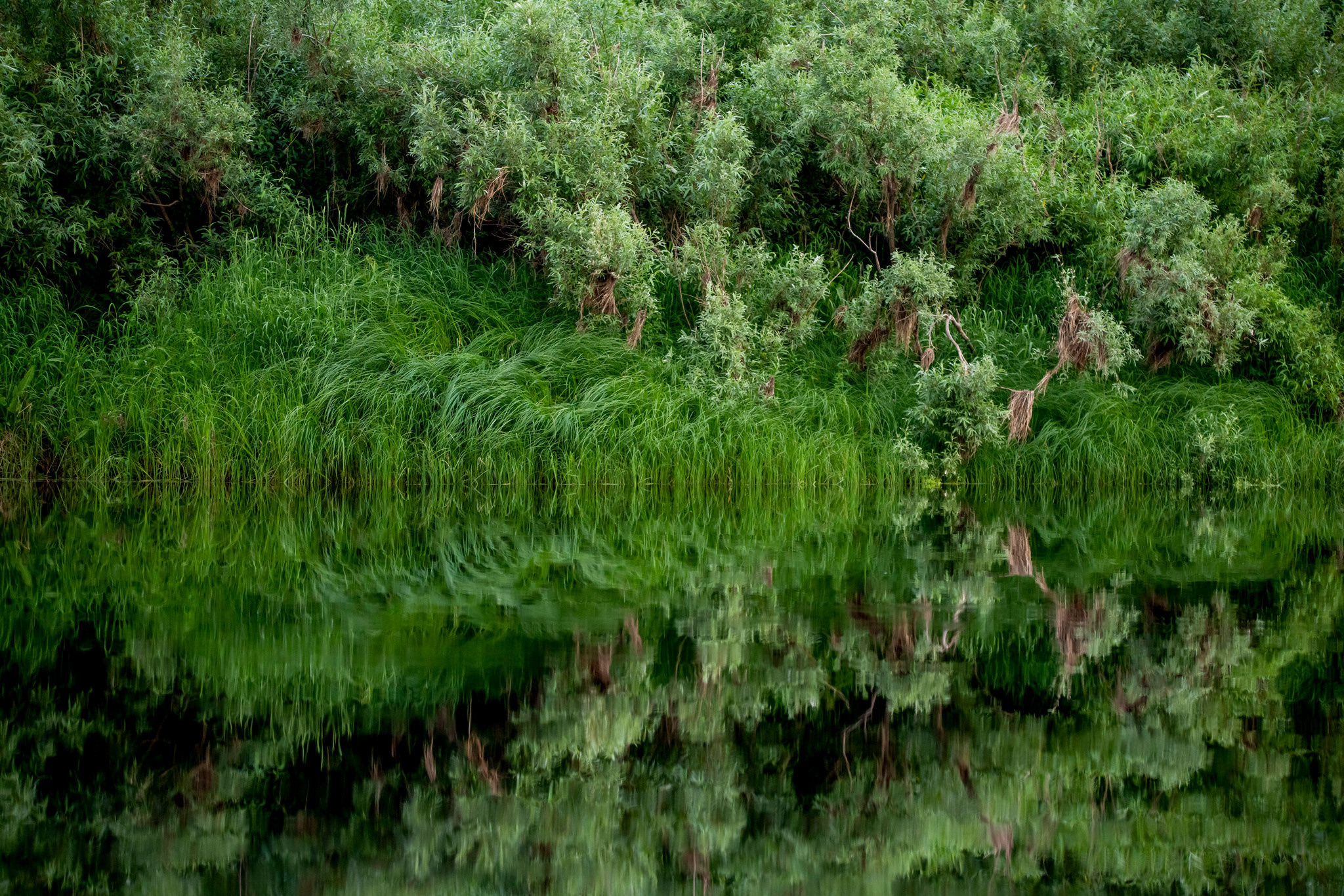 Пейзажный фотограф, Фотографии дикой природы. Foto-Zuev фотография как искусство