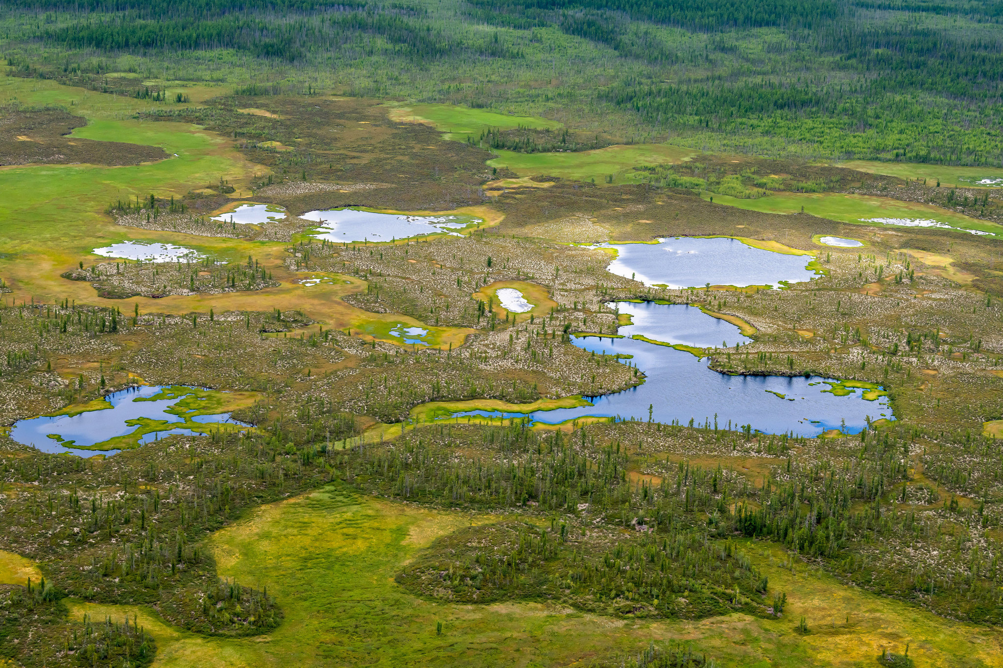 Пейзажный фотограф, Фотографии дикой природы. Foto-Zuev фотография как искусство