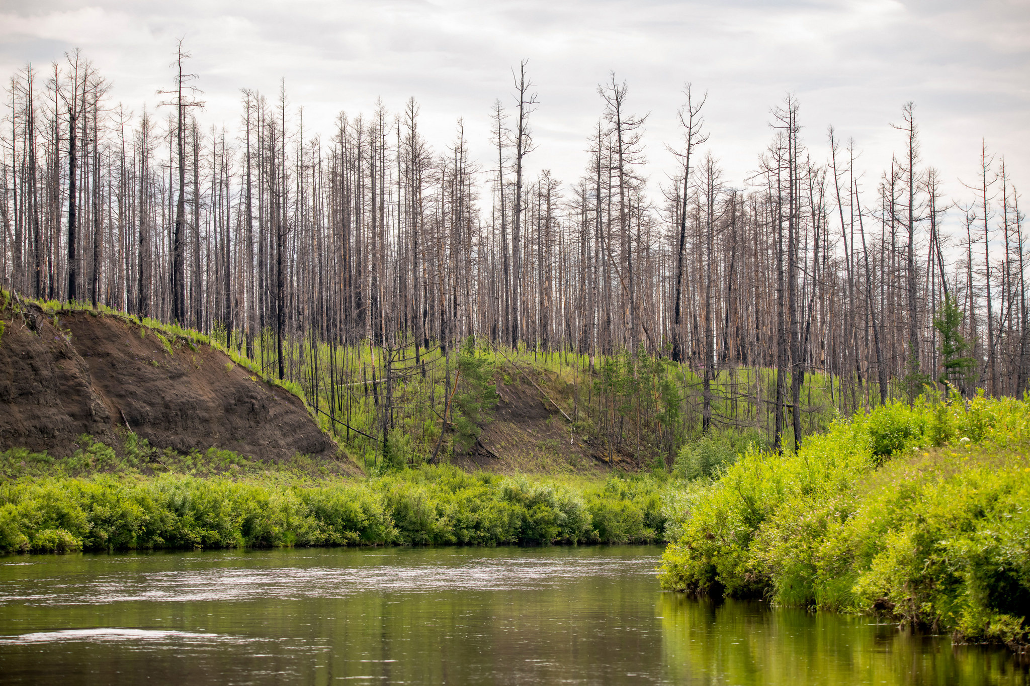 Пейзажный фотограф, Фотографии дикой природы. Foto-Zuev фотография как искусство
