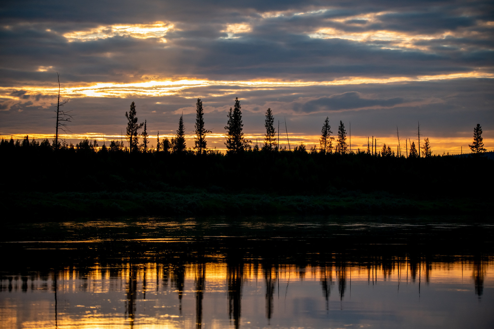 Пейзажный фотограф, Фотографии дикой природы. Foto-Zuev фотография как искусство