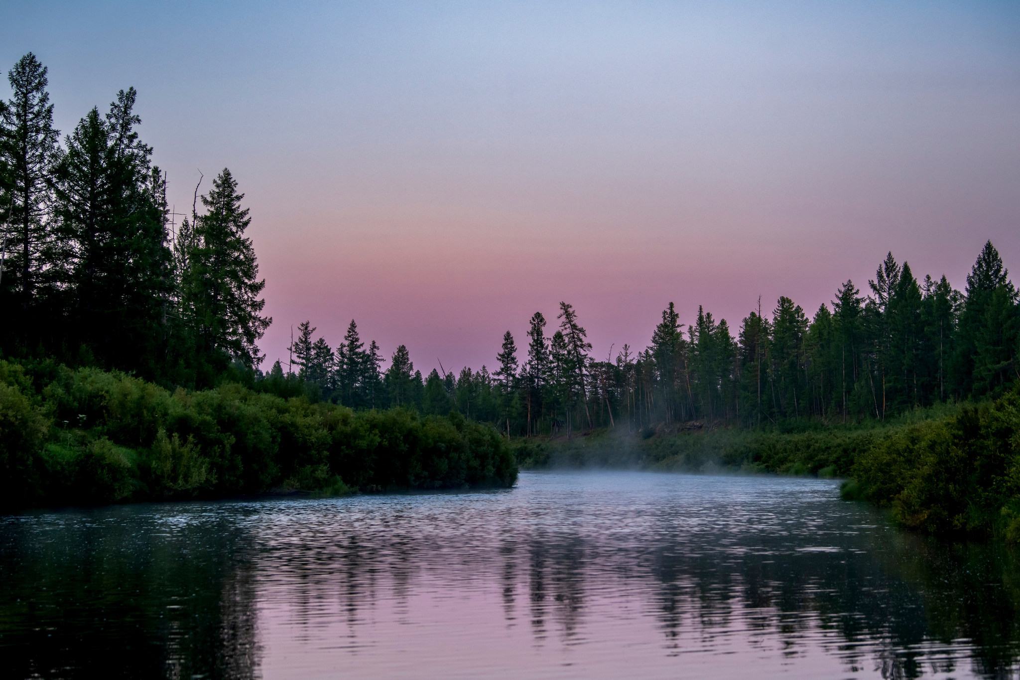 Пейзажный фотограф, Фотографии дикой природы. Foto-Zuev фотография как искусство