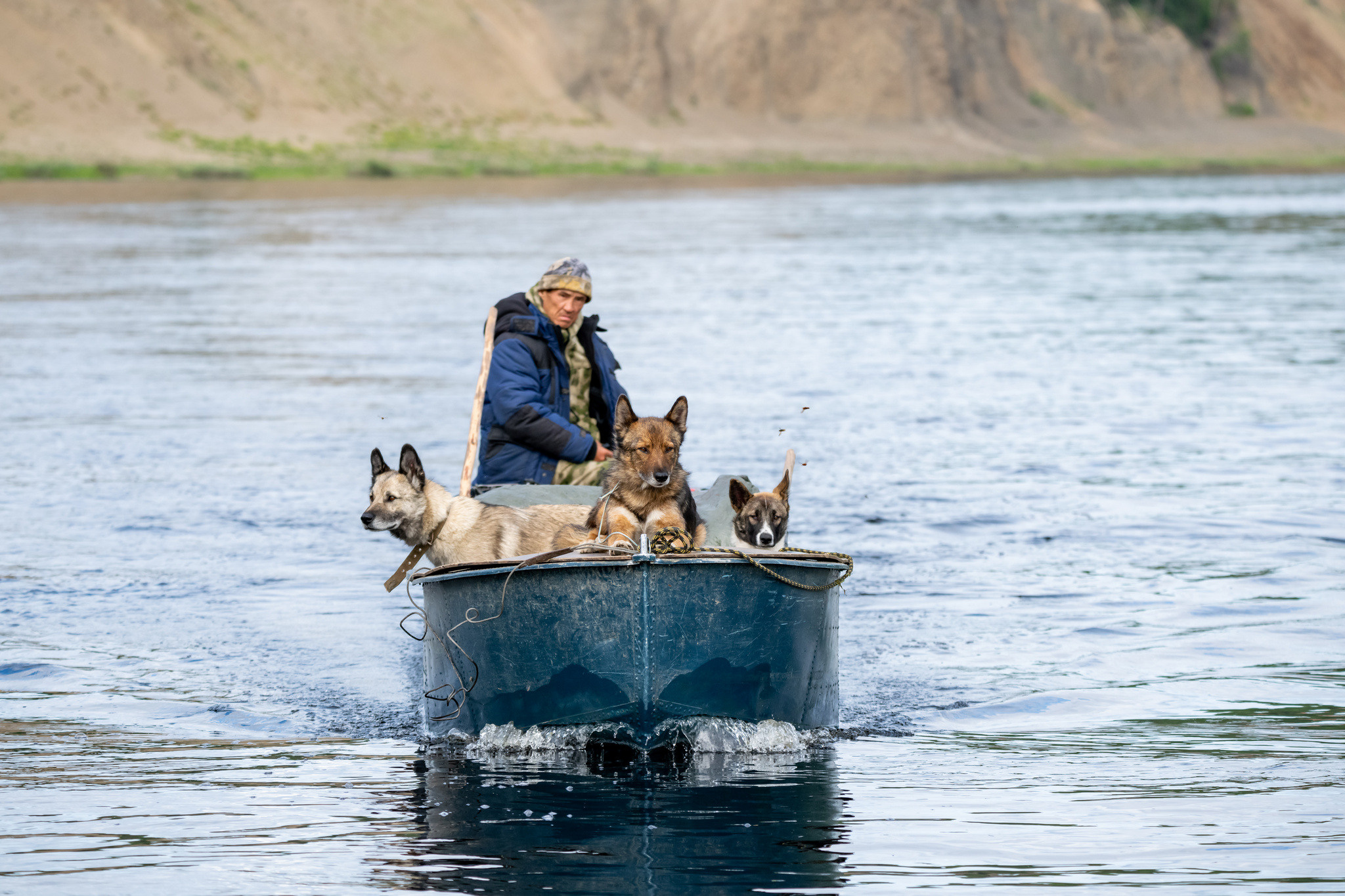 Тайга, Россия, Природа, Пейзаж, Foto-zuev, Fotozuev, фотограф Зуев Андрей