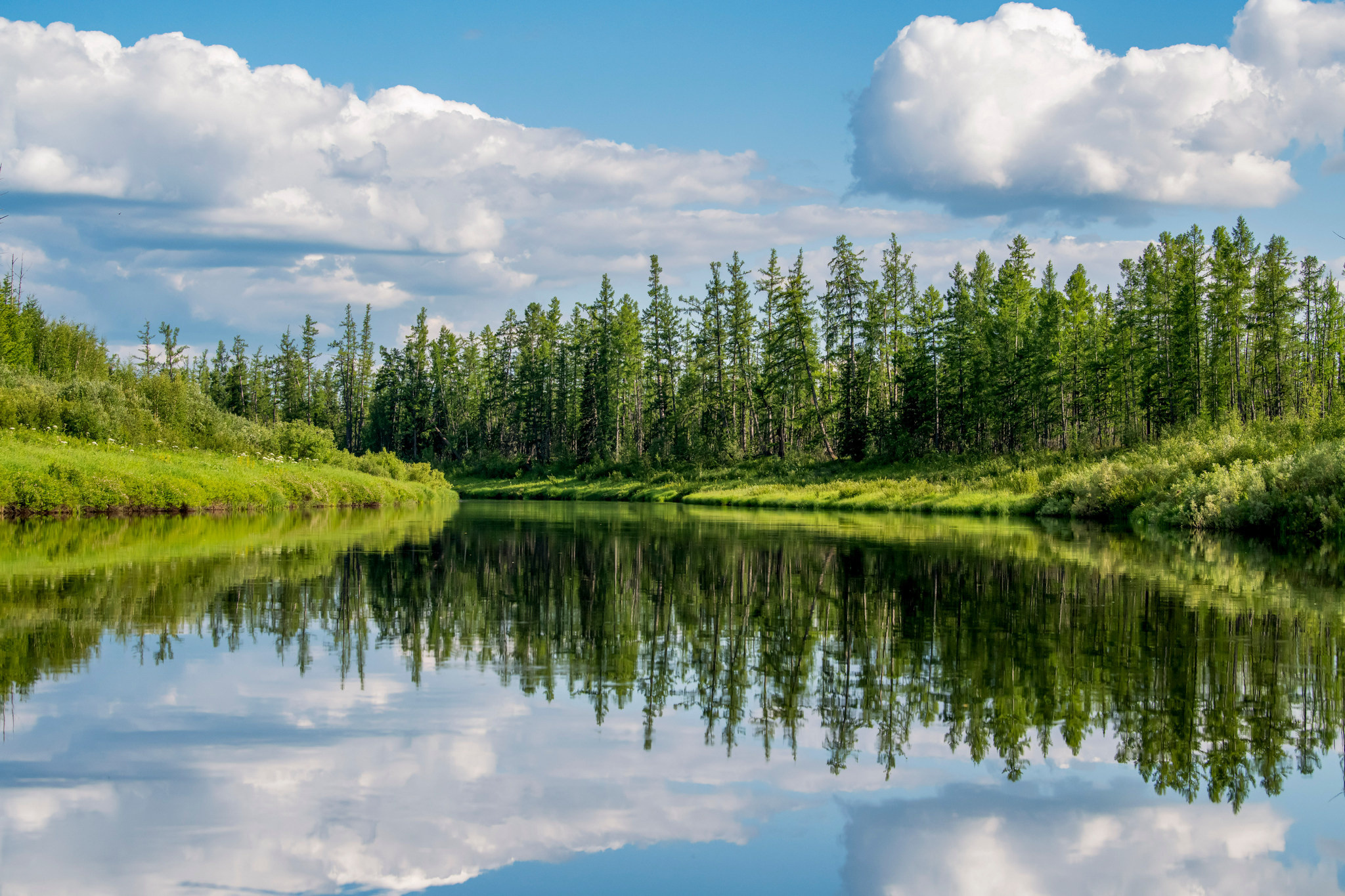 Тайга, Россия, Природа, Пейзаж, Foto-zuev, Fotozuev, фотограф Зуев Андрей