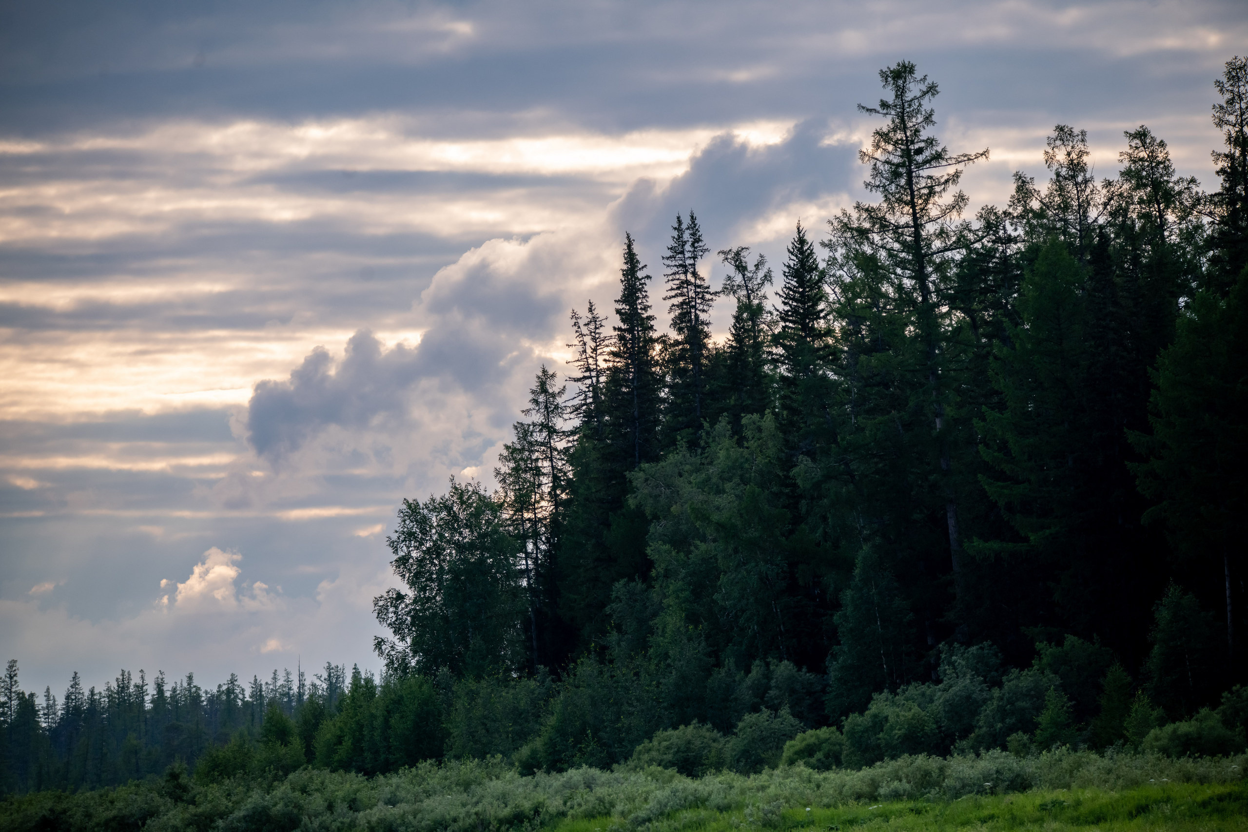 Тайга, Россия, Природа, Пейзаж, Foto-zuev, Fotozuev, фотограф Зуев Андрей