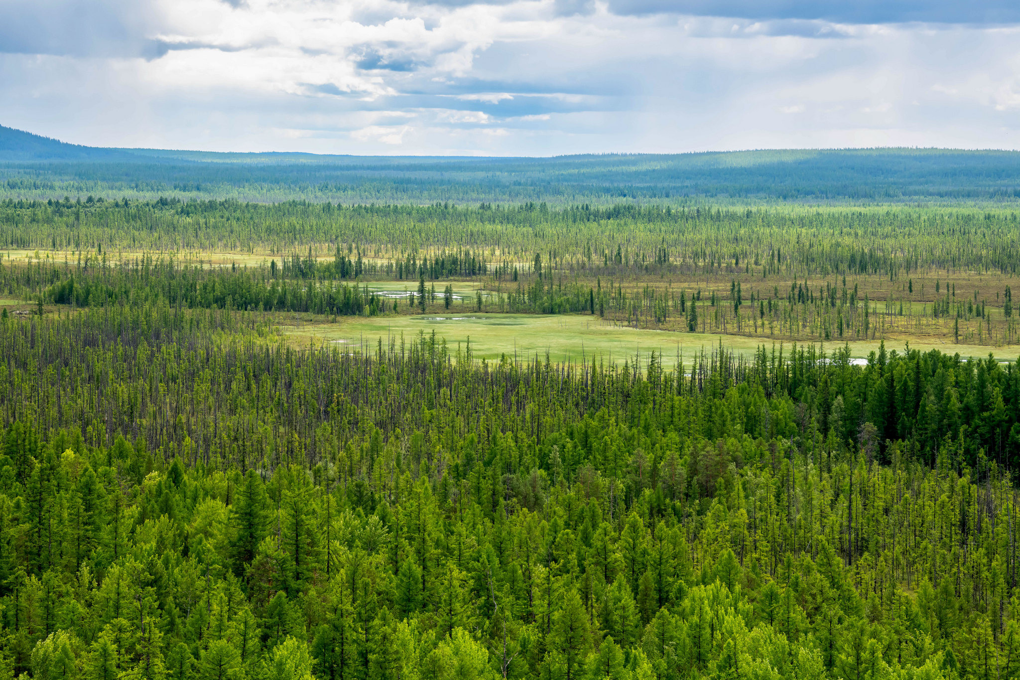 Пейзажный фотограф, Фотографии дикой природы. Foto-Zuev фотография как искусство