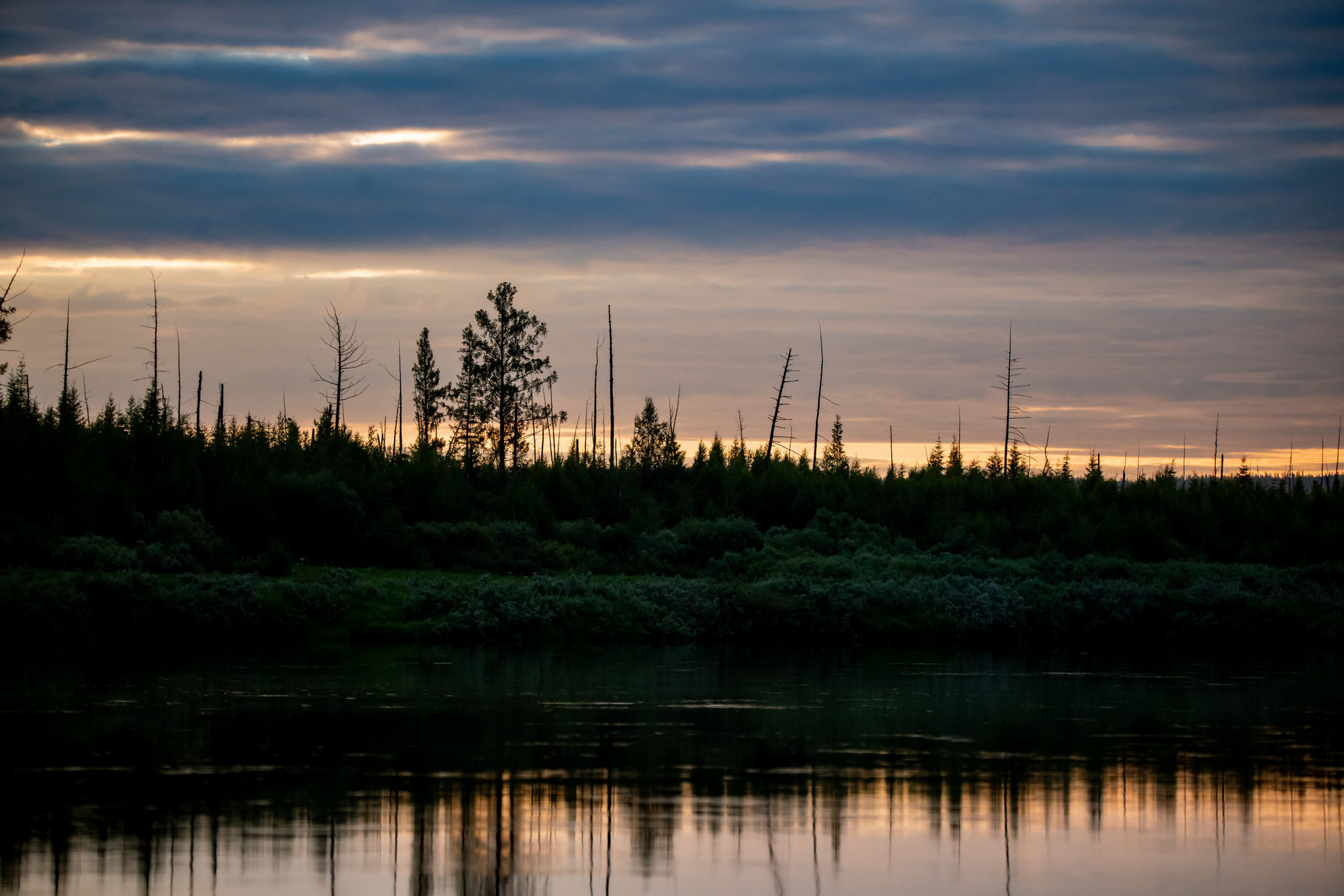 Пейзажный фотограф, Фотографии дикой природы. Foto-Zuev фотография как искусство