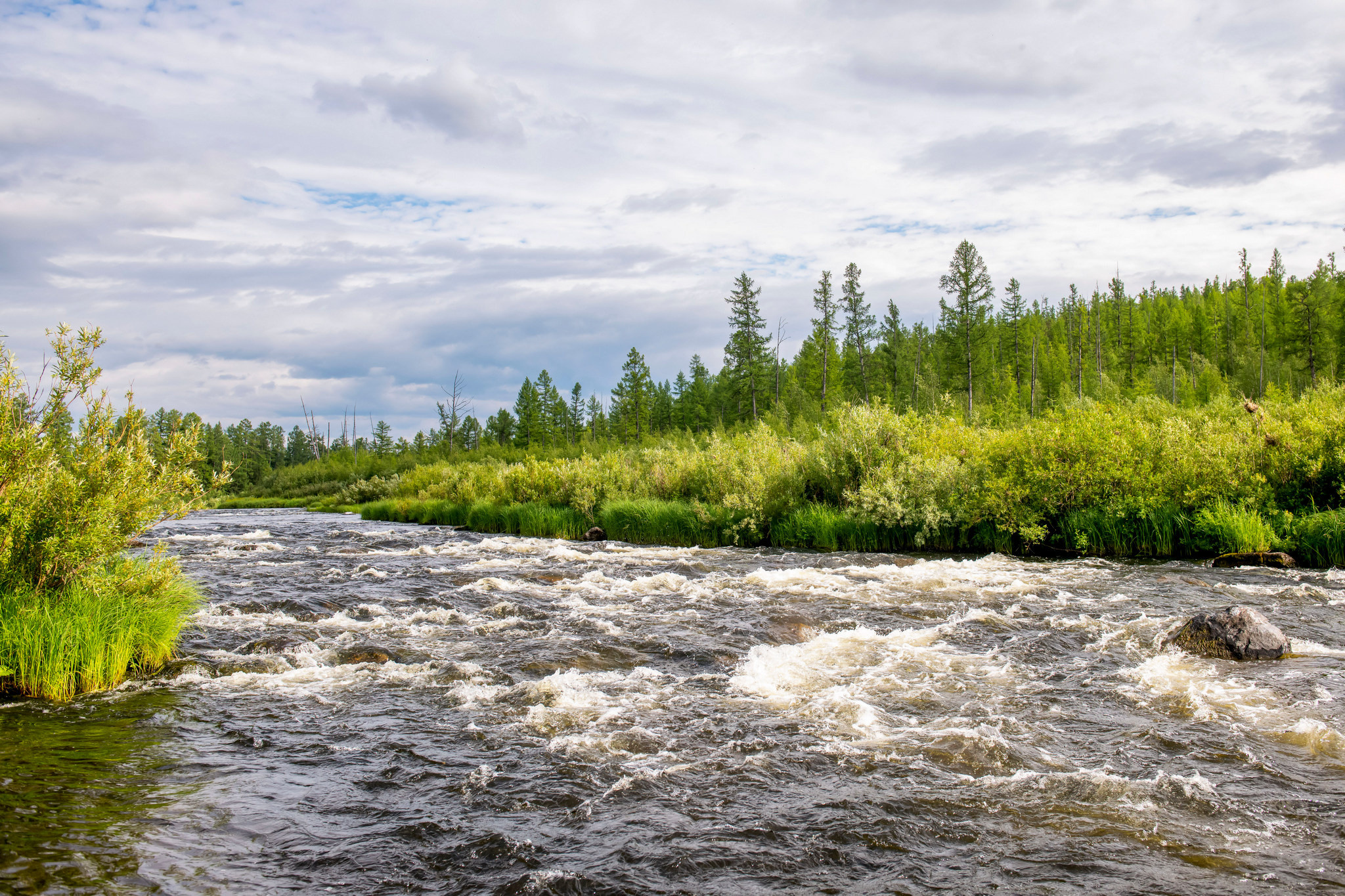 Тайга, Россия, Природа, Пейзаж, Foto-zuev, Fotozuev, фотограф Зуев Андрей