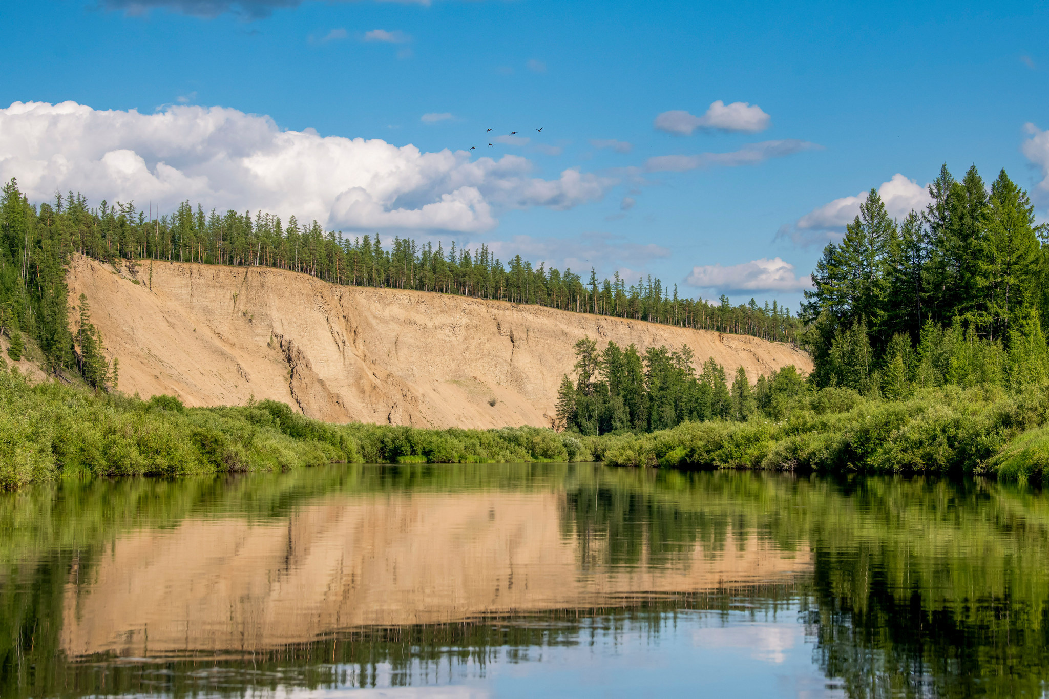 Пейзажный фотограф, Фотографии дикой природы. Foto-Zuev фотография как искусство