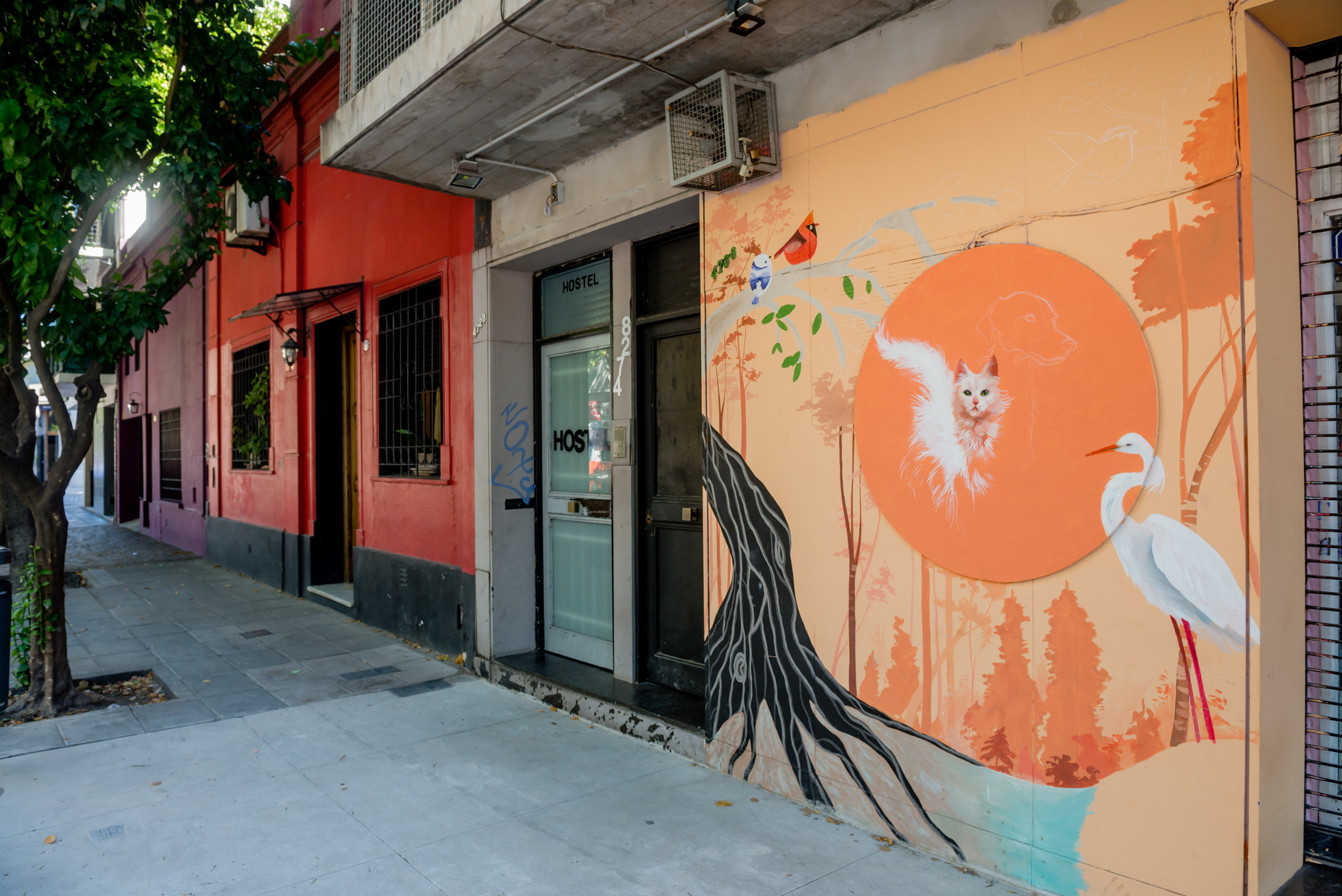 Буэнос Айрес, Аргентина, Fotozuev, Fotozuev, фотограф Зуев Андрей