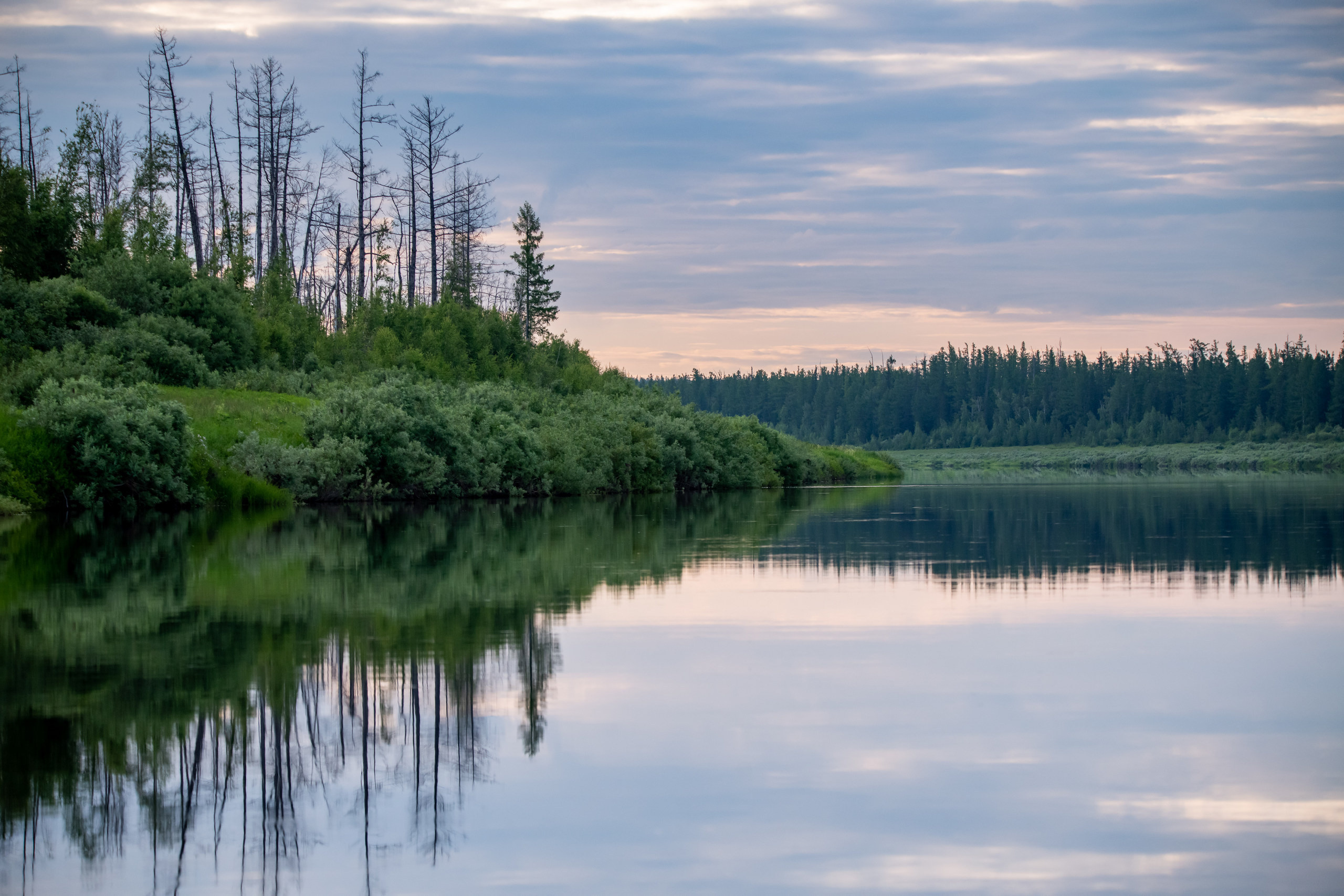 Тайга, Россия, Природа, Пейзаж, Foto-zuev, Fotozuev, фотограф Зуев Андрей