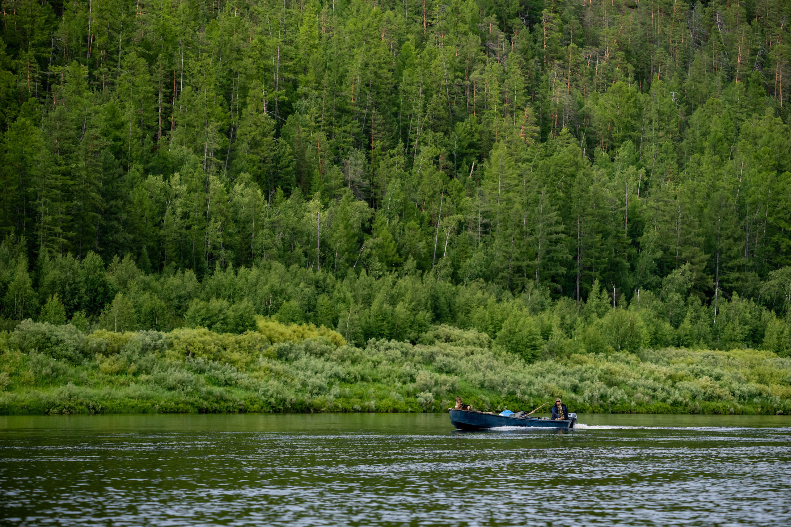 Тайга, Россия, Природа, Пейзаж, Foto-zuev, Fotozuev, фотограф Зуев Андрей