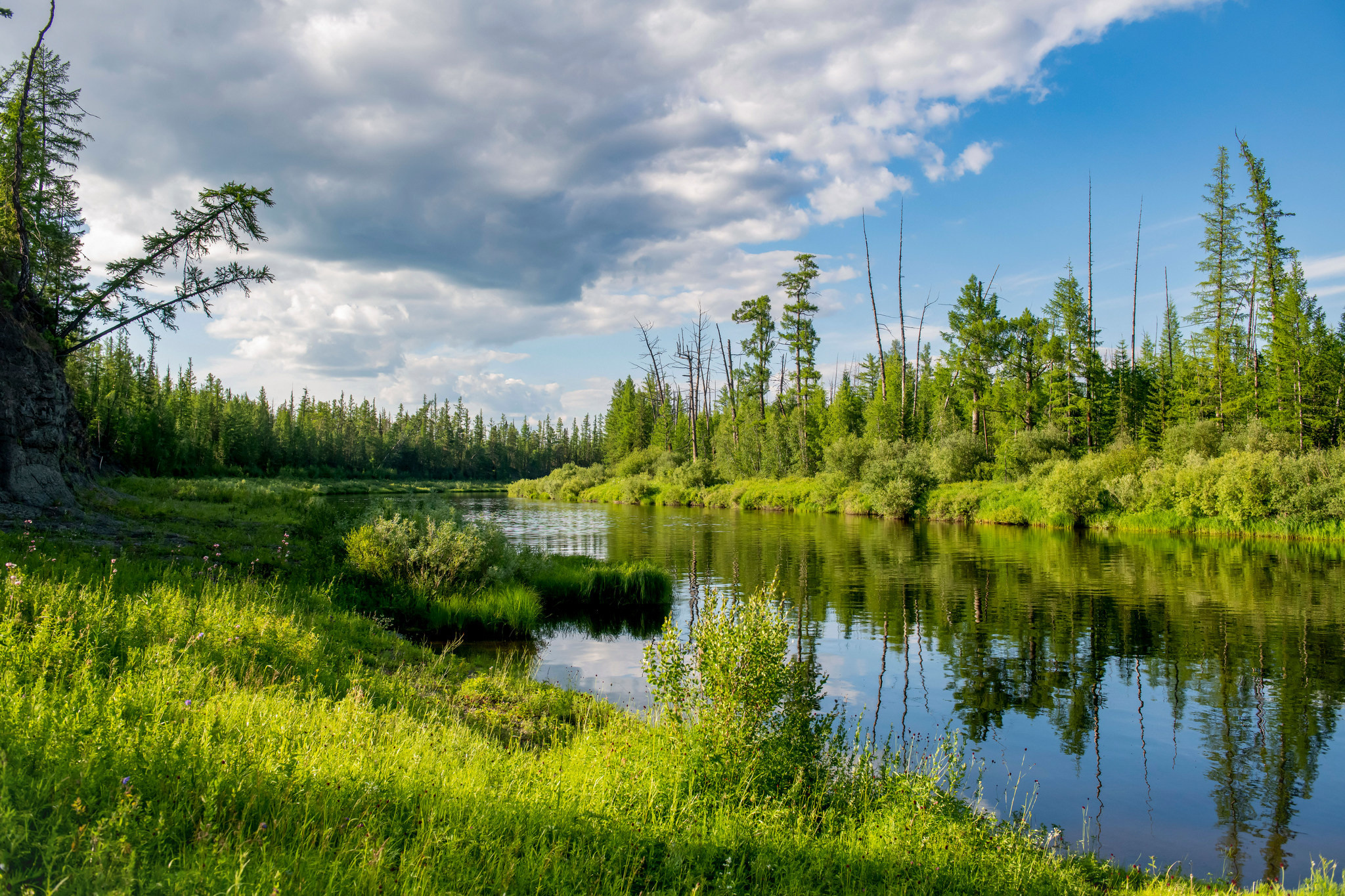 Пейзажный фотограф, Фотографии дикой природы. Foto-Zuev фотография как искусство