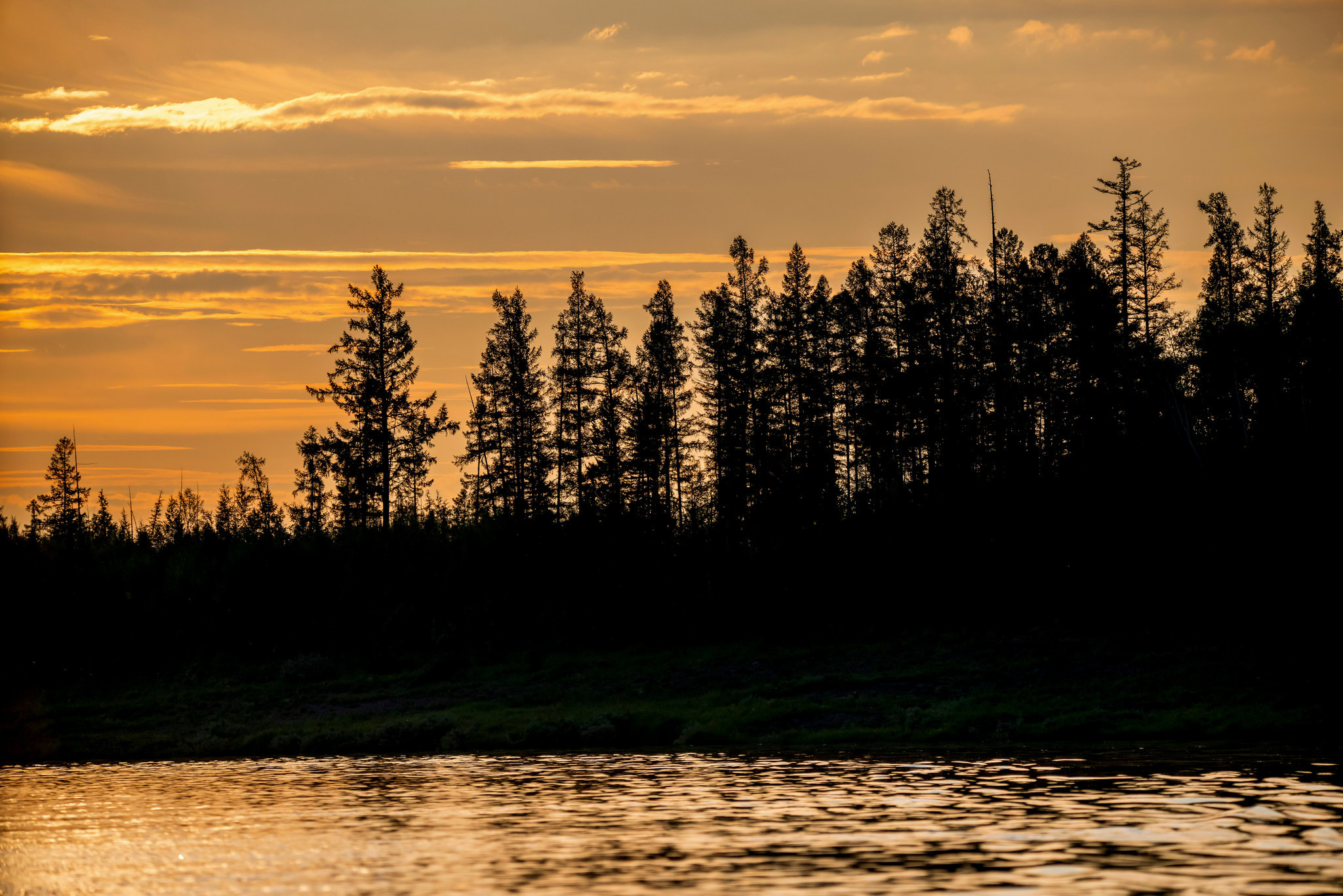 Пейзажный фотограф, Фотографии дикой природы. Foto-Zuev фотография как искусство