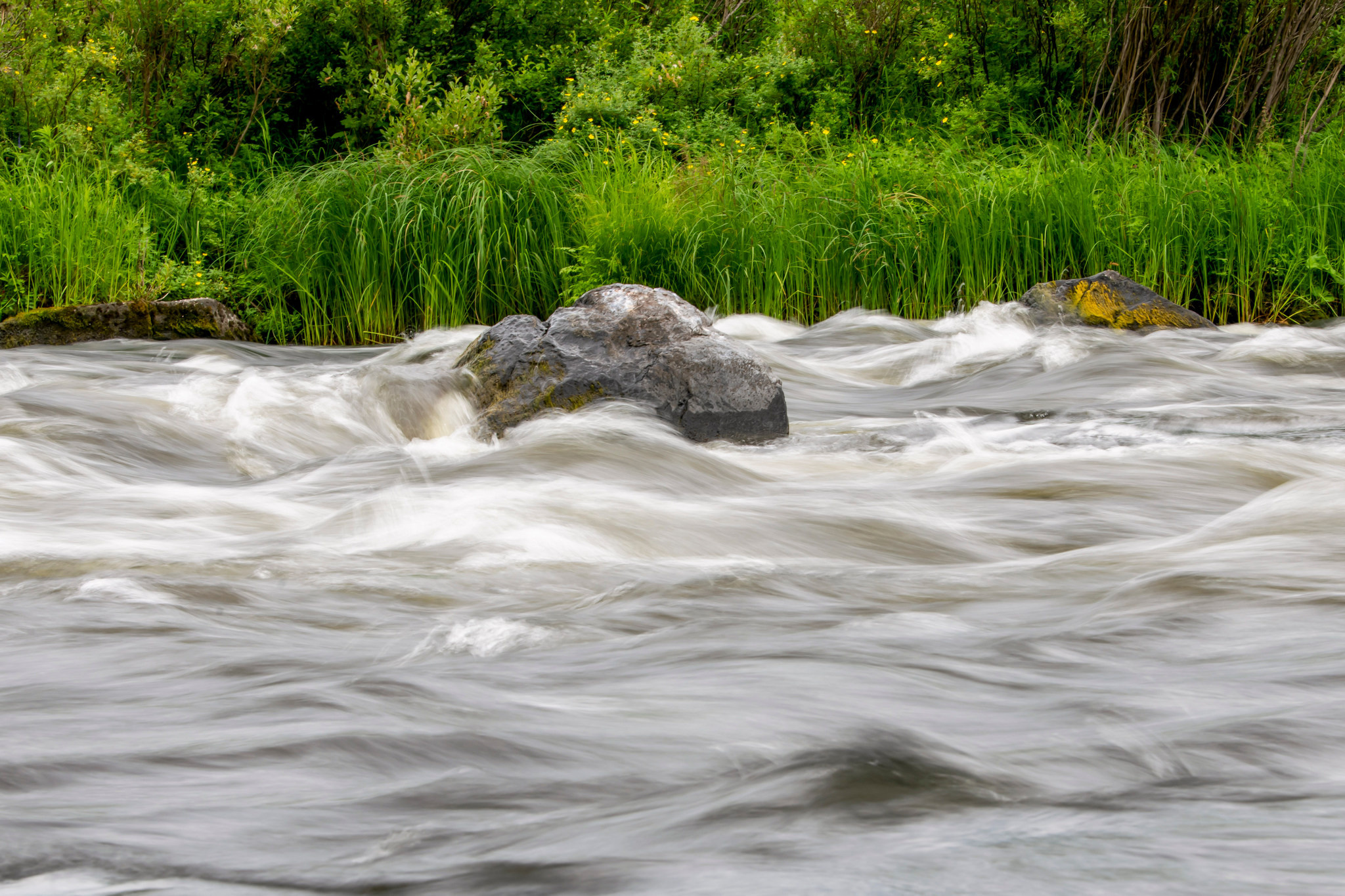 Пейзажный фотограф, Фотографии дикой природы. Foto-Zuev фотография как искусство