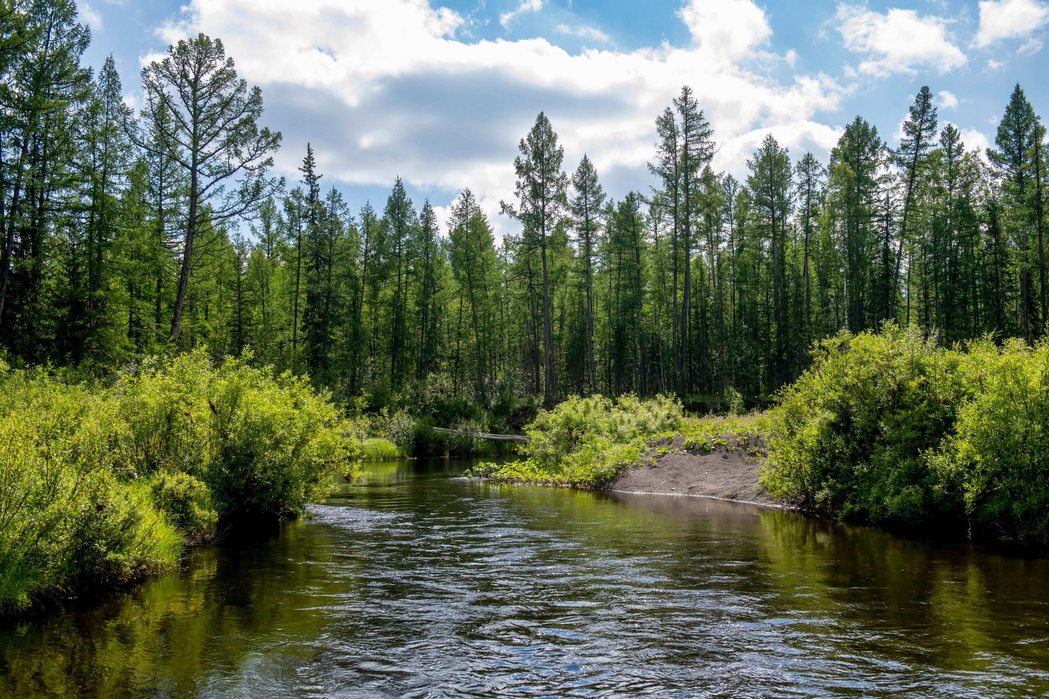 Пейзажный фотограф, Фотографии дикой природы. Foto-Zuev фотография как искусство