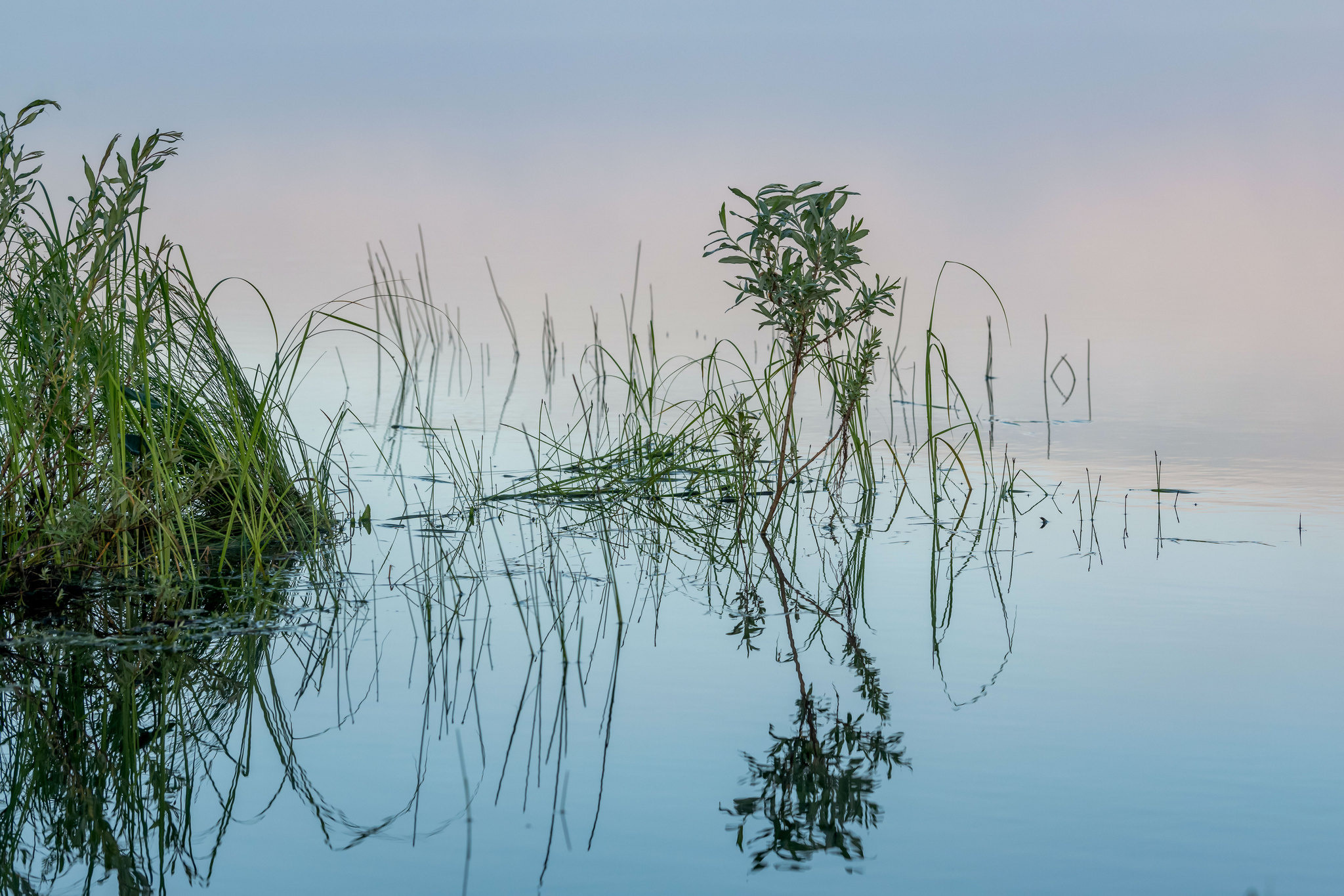 Тайга, Россия, Природа, Пейзаж, Foto-zuev, Fotozuev, фотограф Зуев Андрей