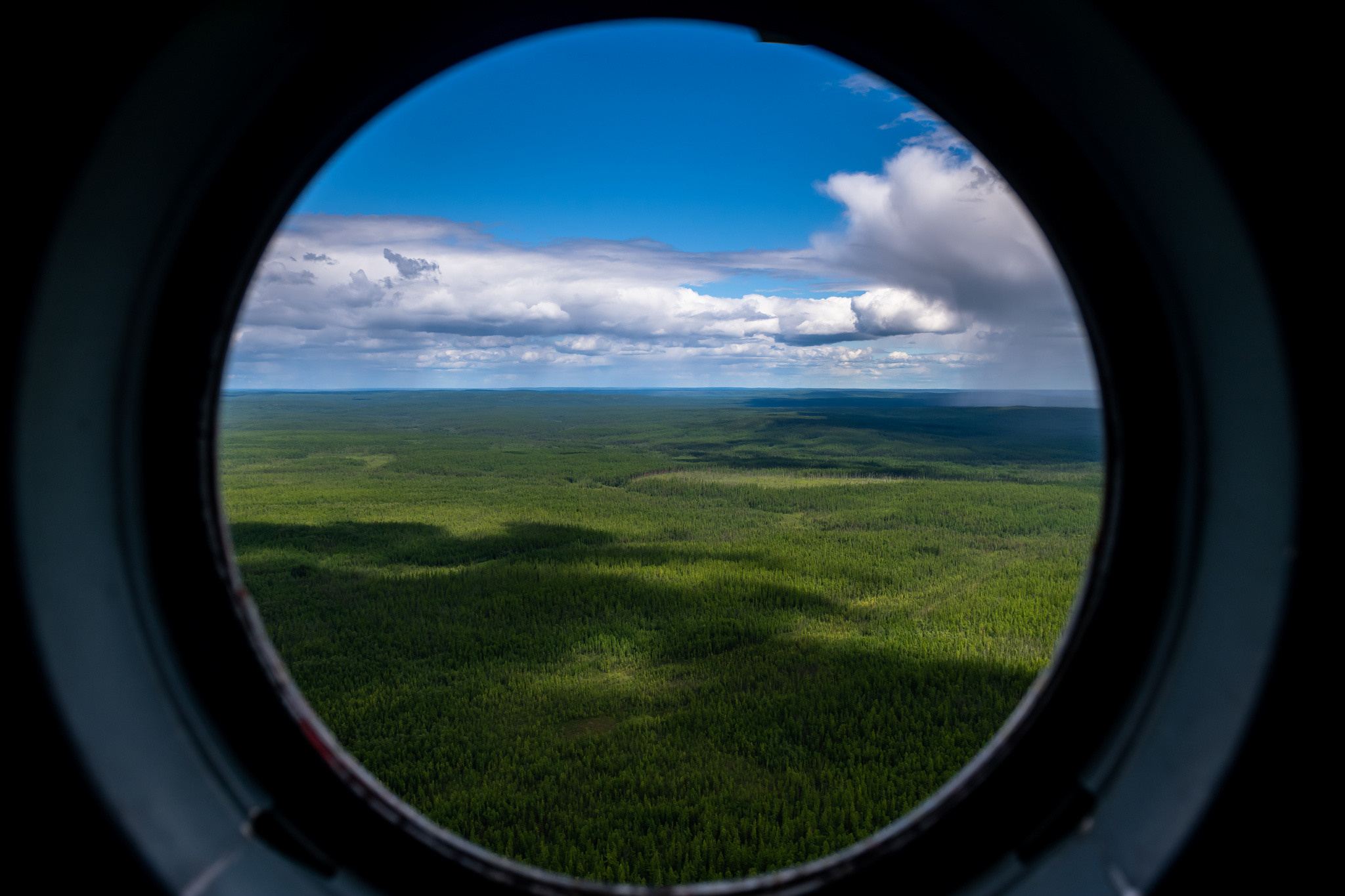 Тайга, Россия, Природа, Пейзаж, Foto-zuev, Fotozuev, фотограф Зуев Андрей